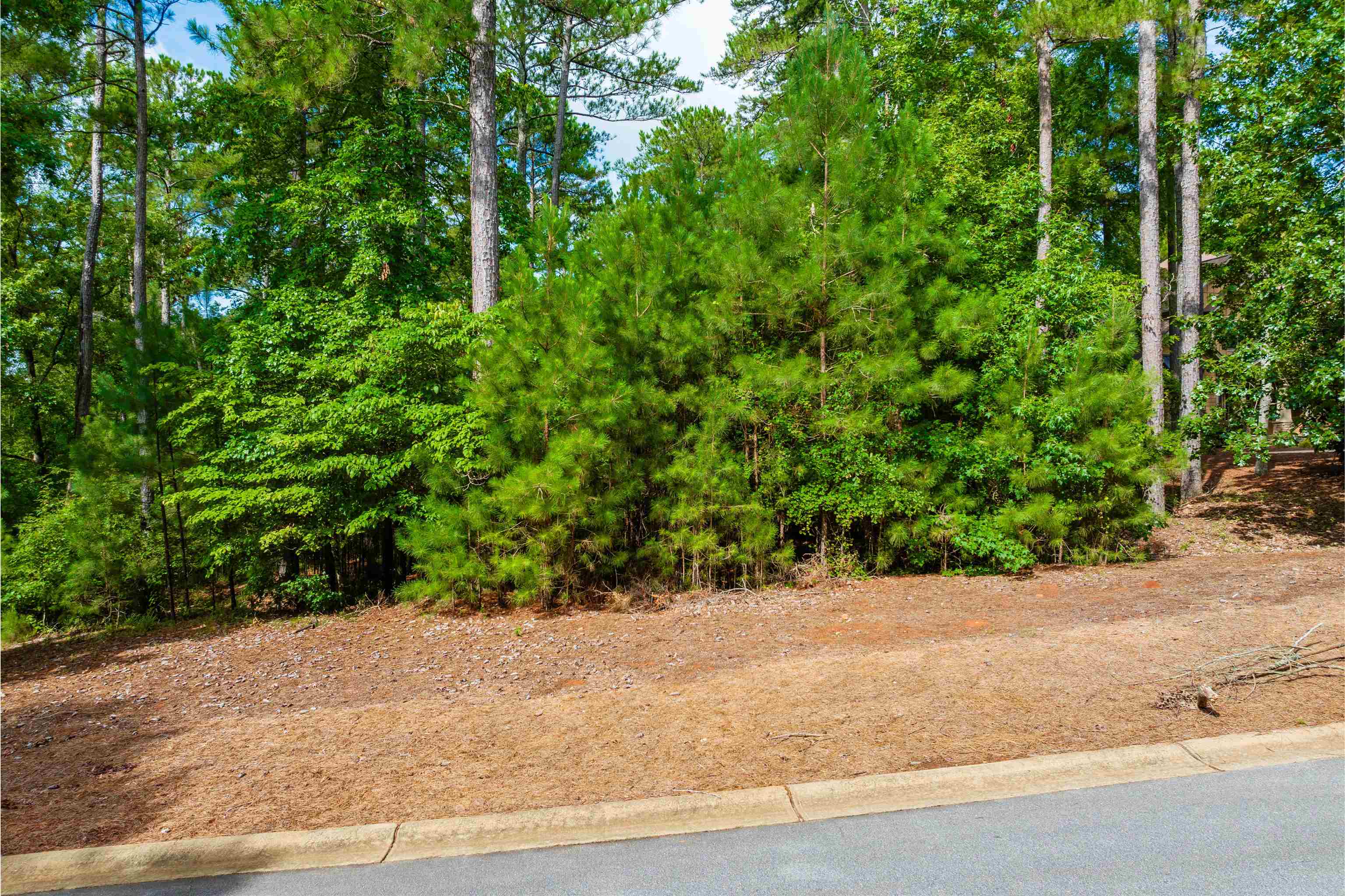 1011 Woodmont Court #1011, Greensboro, Georgia image 1