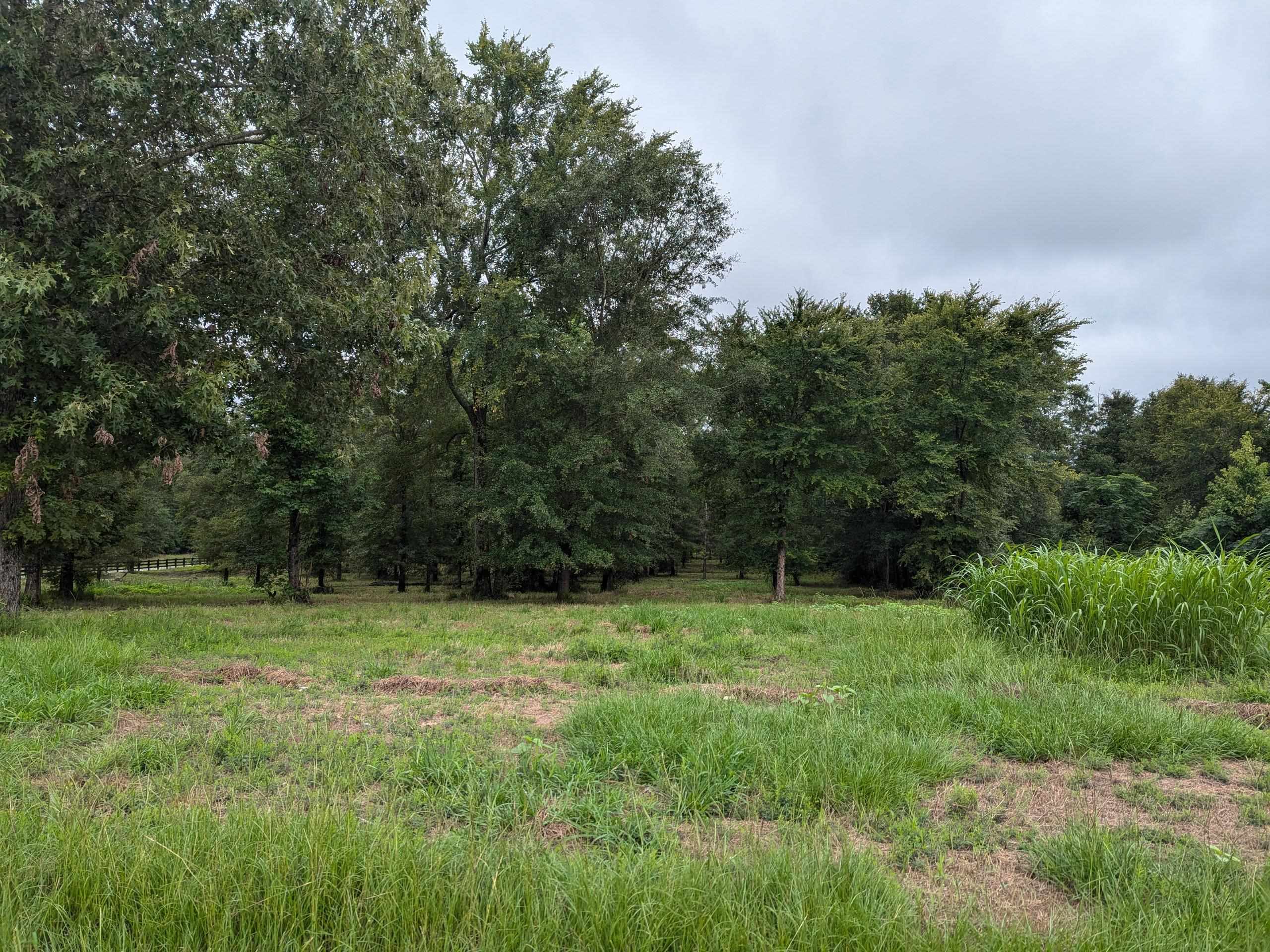 Lot 36 Bayside #36, Greensboro, Georgia image 4