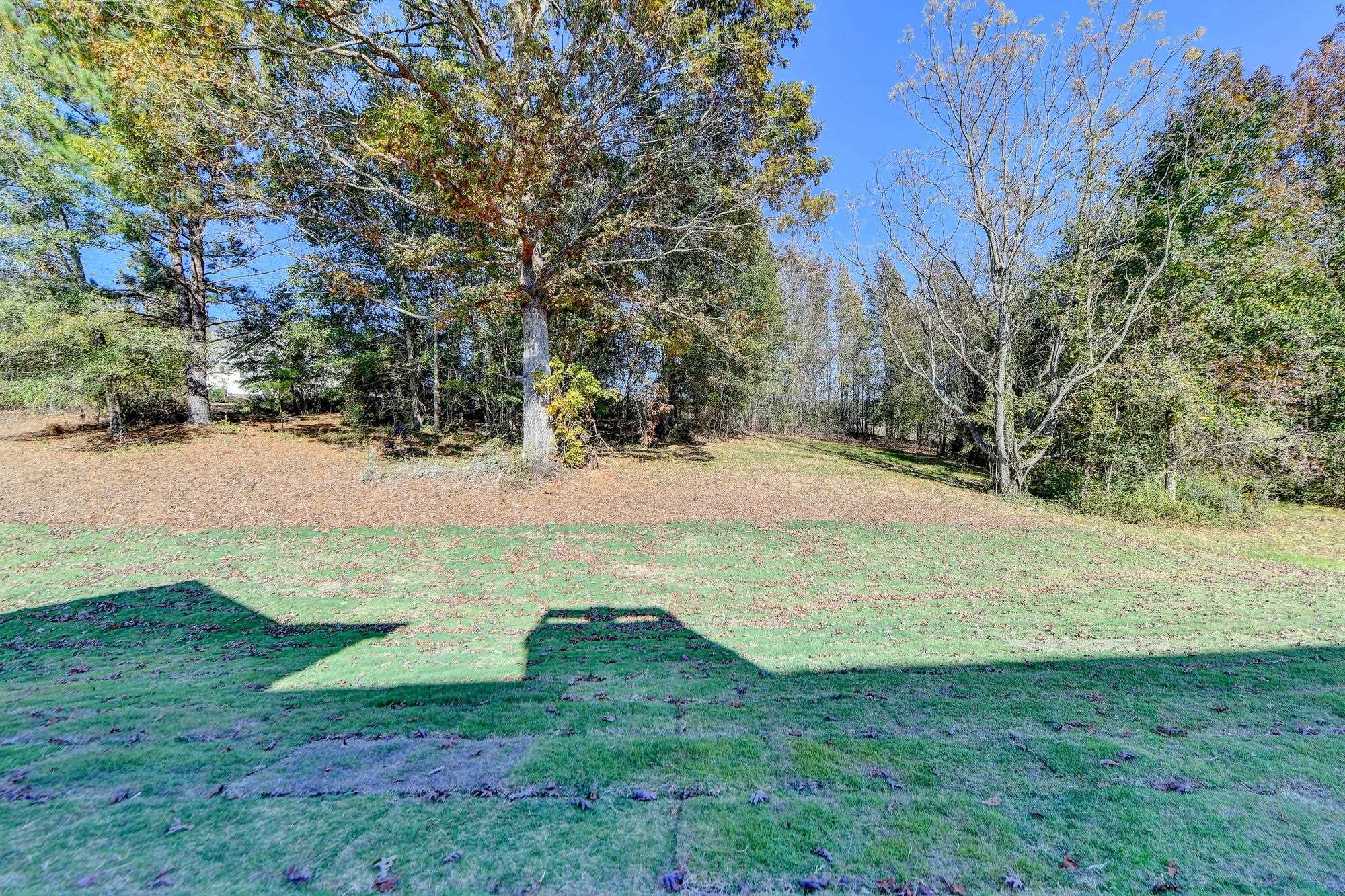 View of Back Yard