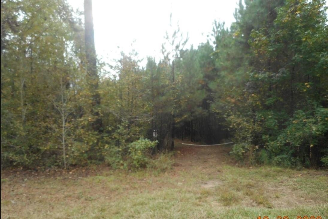 Tract 2 Grey Land Road #2, Greensboro, Georgia image 2