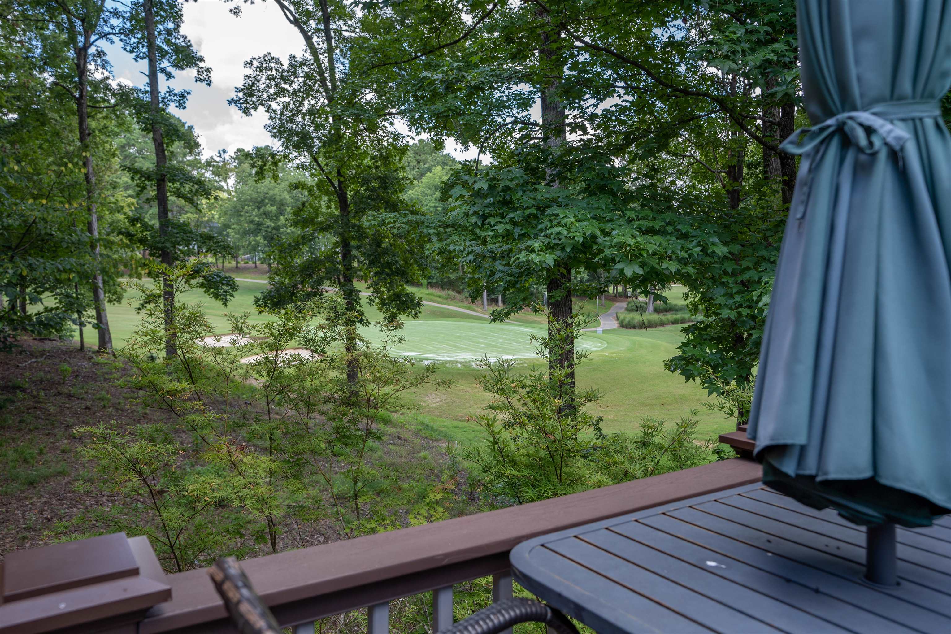 1050 Spyglass Hill #1050, Greensboro, Georgia image 47
