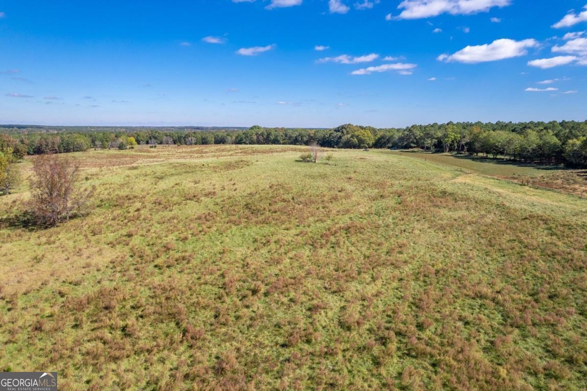 Lot 6 Wallace Road #6, Madison, Georgia image 2