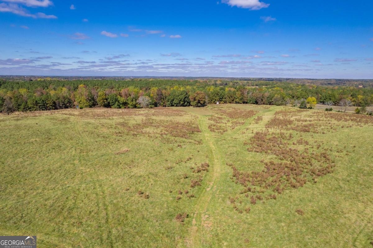 Lot 6 Wallace Road #6, Madison, Georgia image 3