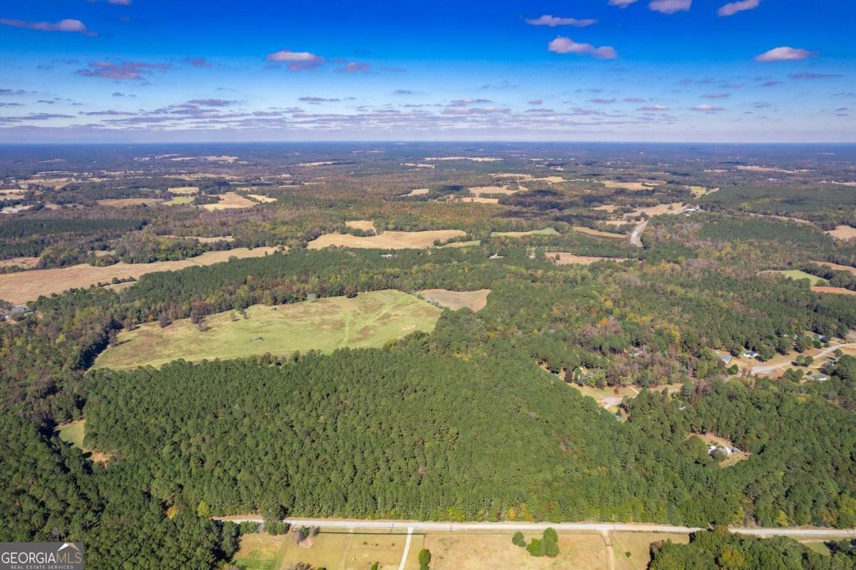 Lot 6 Wallace Road #6, Madison, Georgia image 4