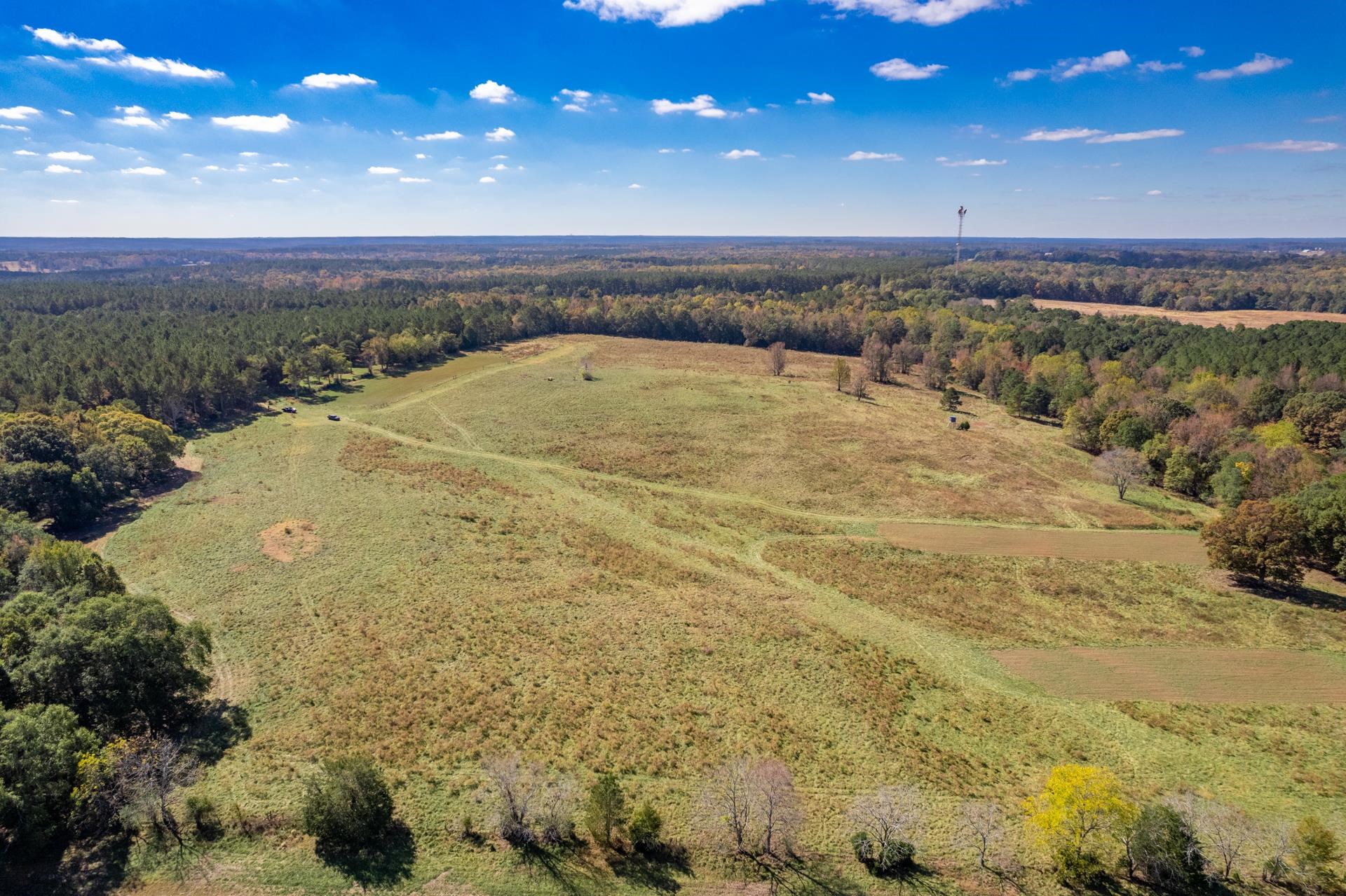 Lot 14 Wallace Road #14, Madison, Georgia image 5
