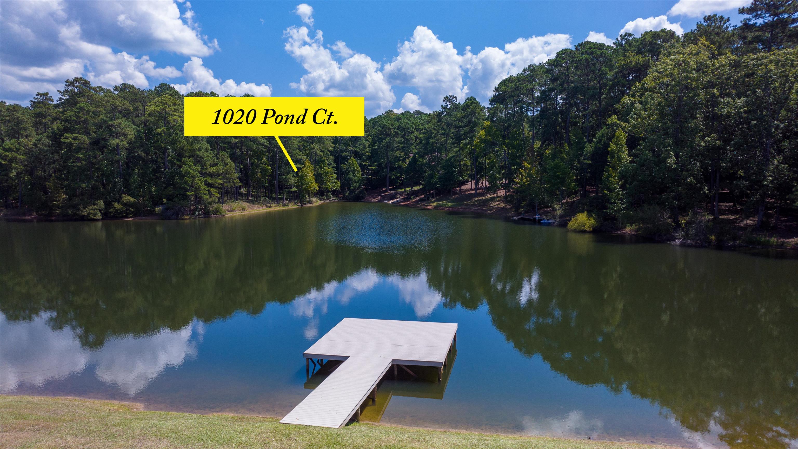 1020 Pond Court #1020, Greensboro, Georgia image 2