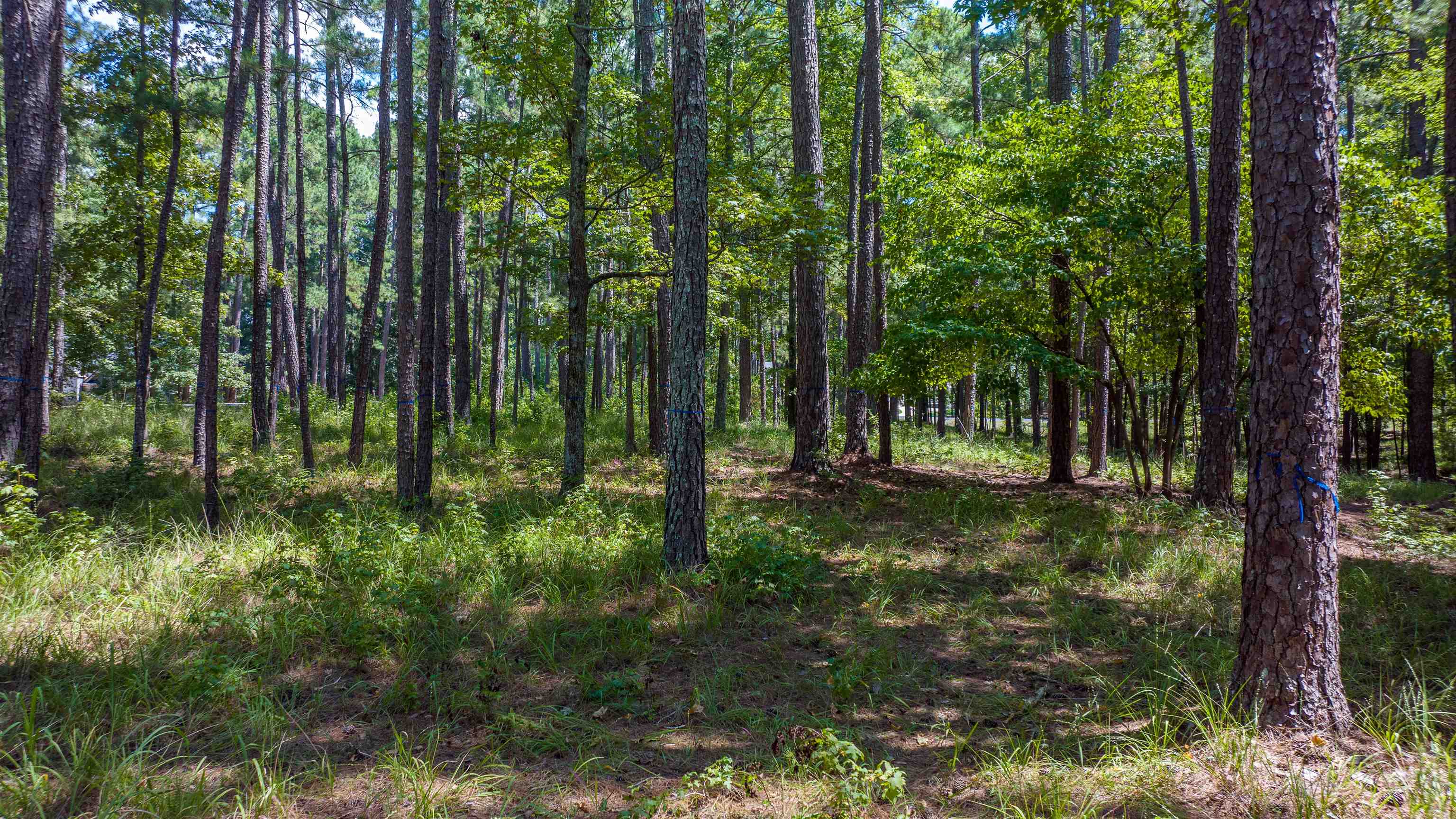 1020 Pond Court #1020, Greensboro, Georgia image 11
