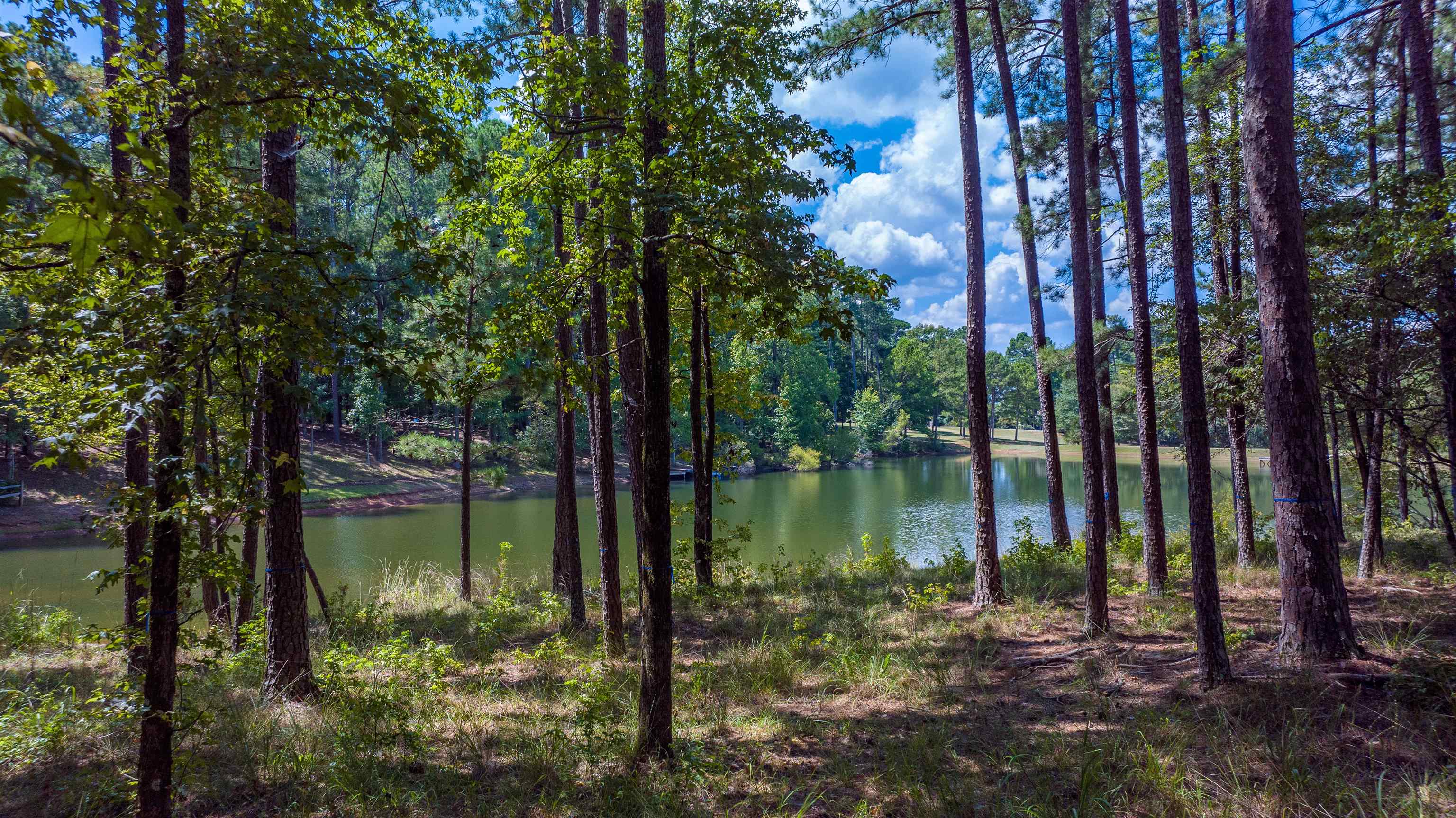 1020 Pond Court #1020, Greensboro, Georgia image 12