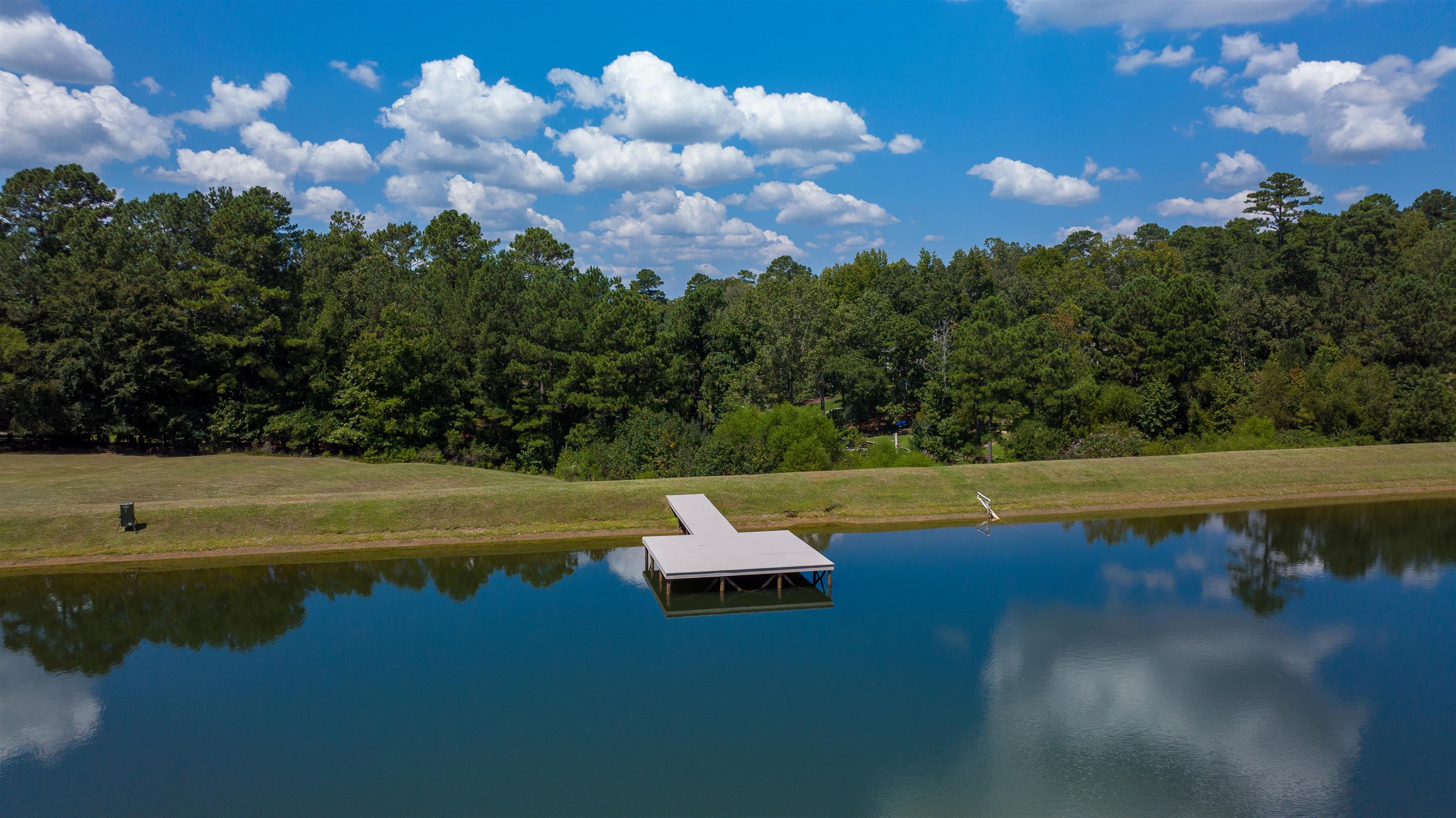 1020 Pond Court #1020, Greensboro, Georgia image 16