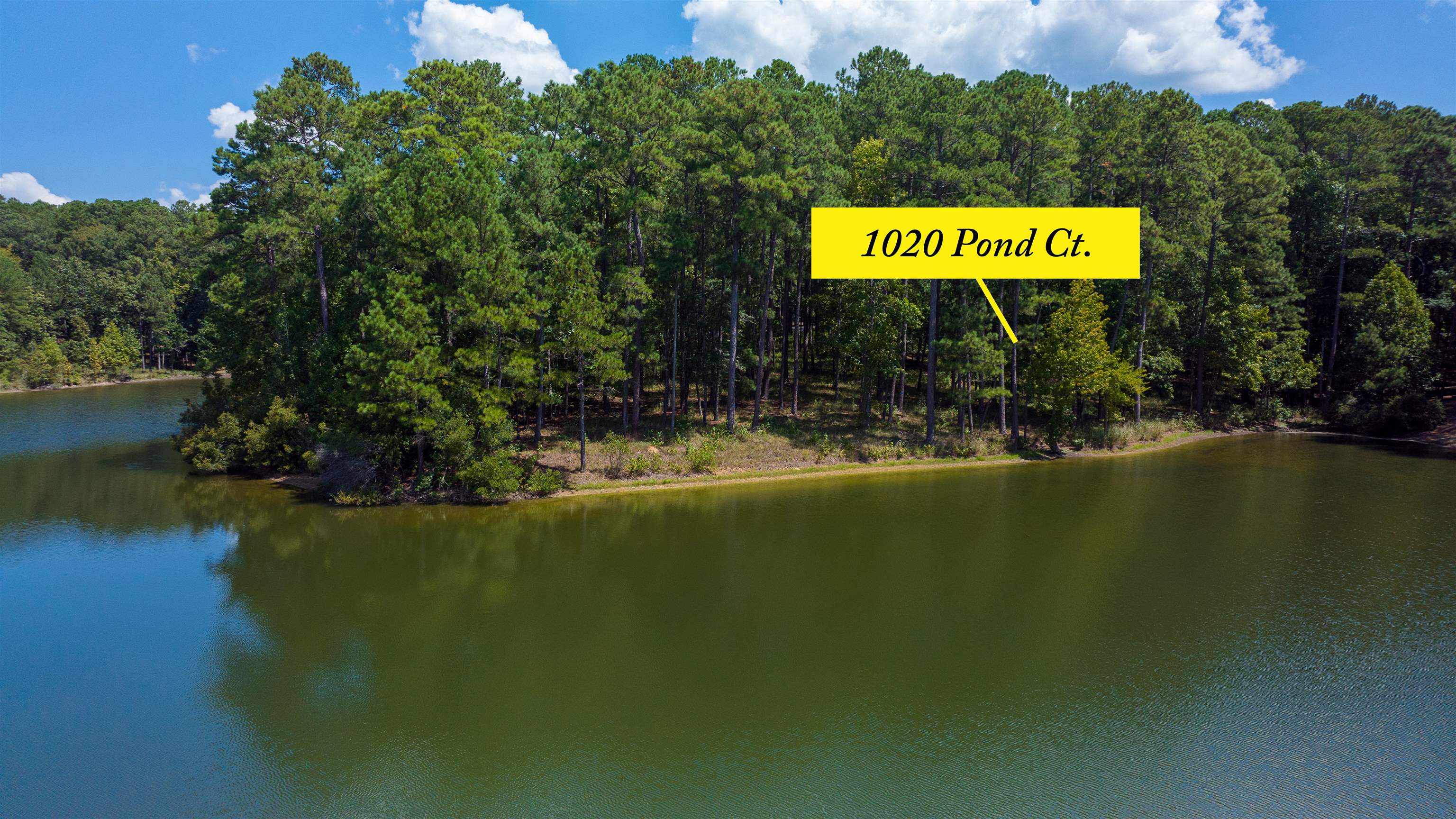 1020 Pond Court #1020, Greensboro, Georgia image 3