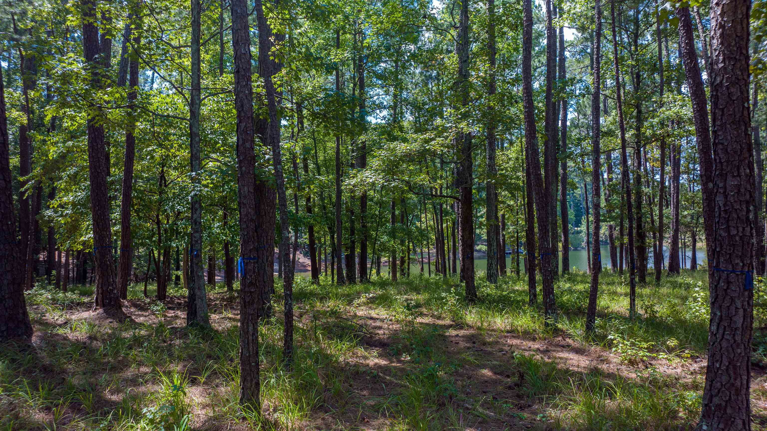 1020 Pond Court #1020, Greensboro, Georgia image 8