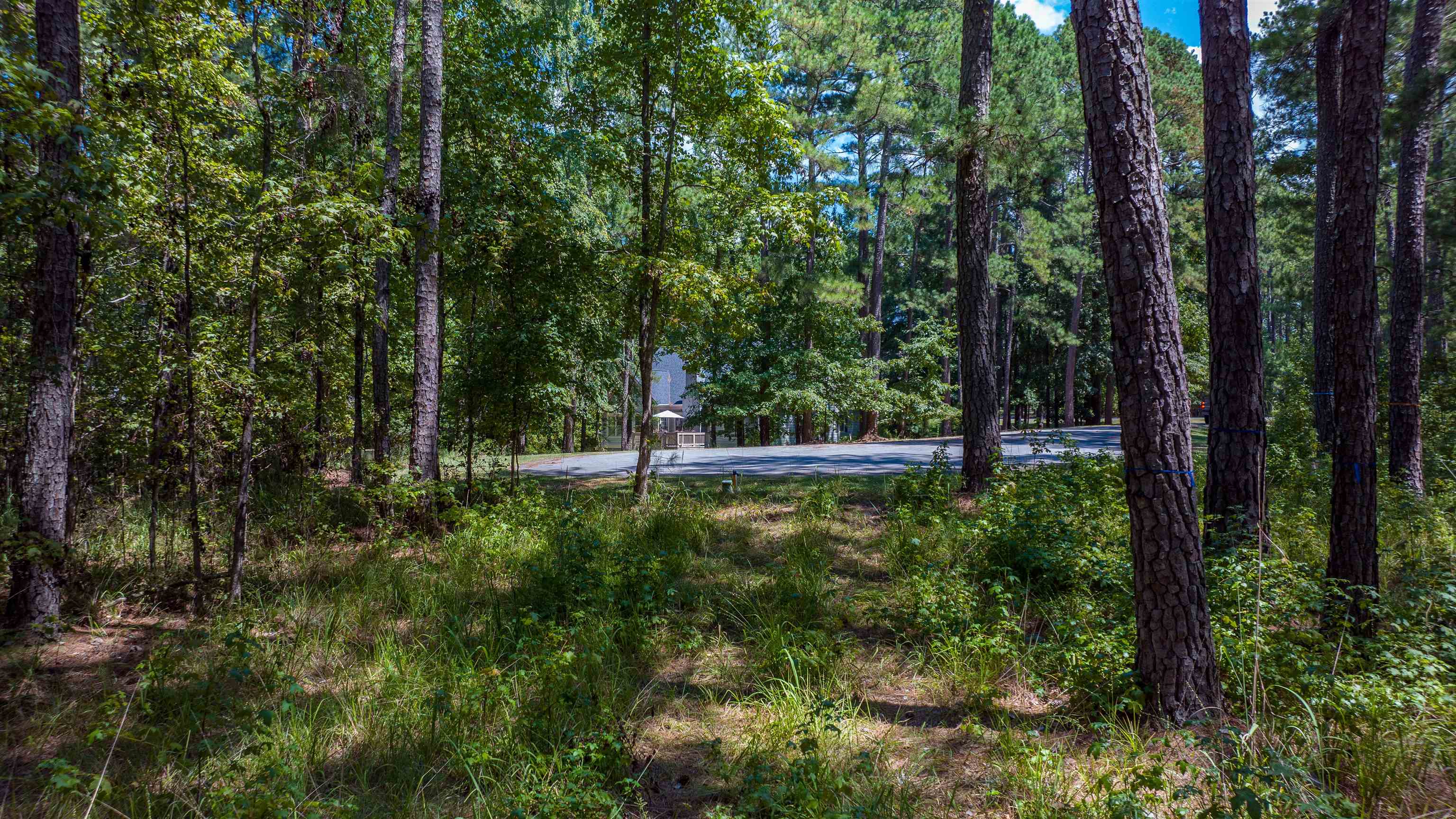 1020 Pond Court #1020, Greensboro, Georgia image 9