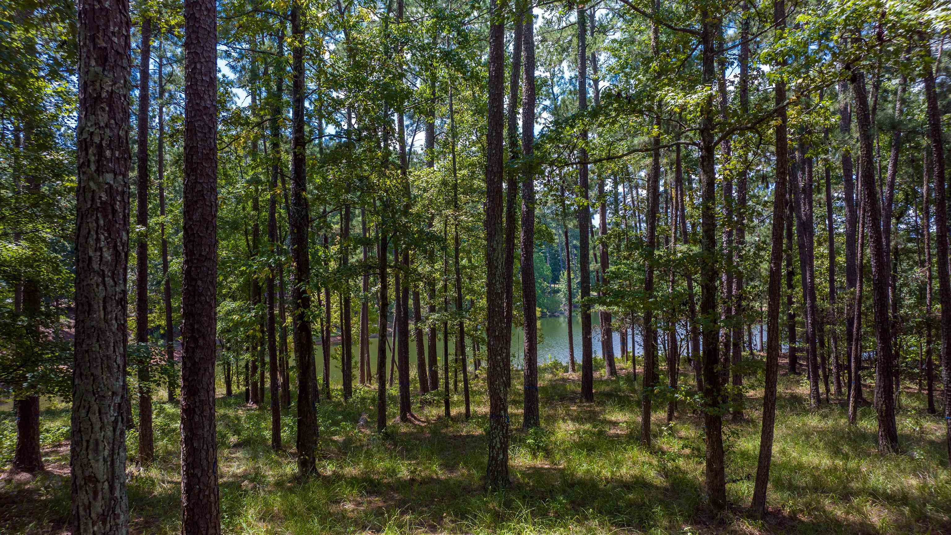 1020 Pond Court #1020, Greensboro, Georgia image 10