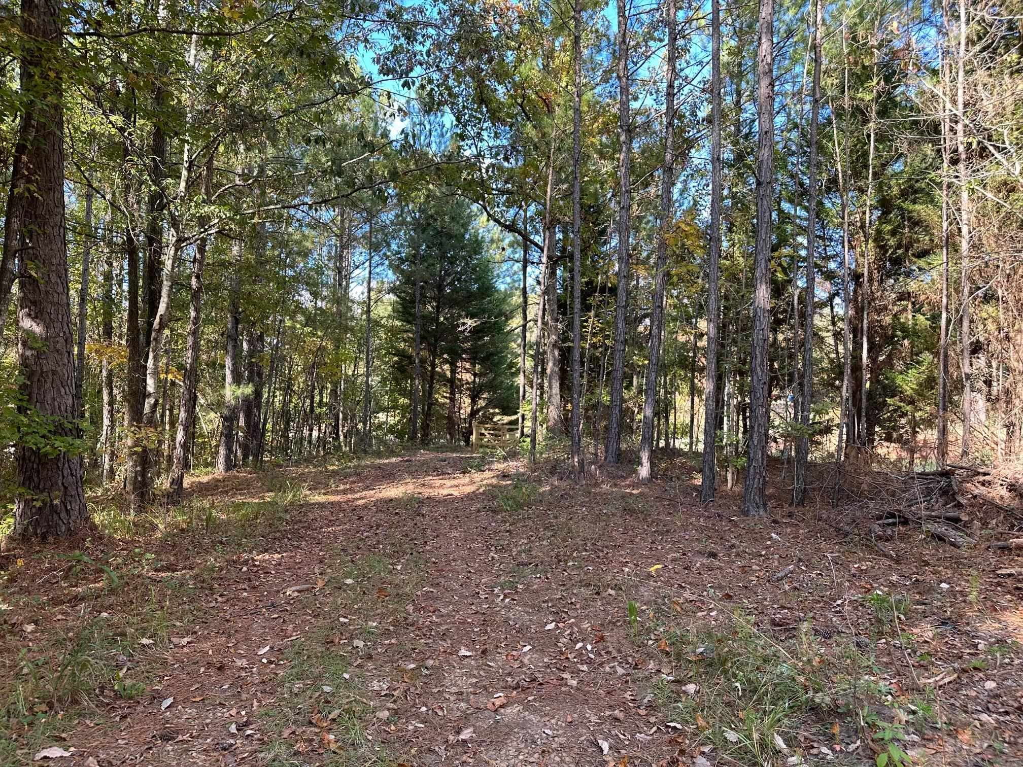 109 Edgewater Drive #109, Eatonton, Georgia image 12