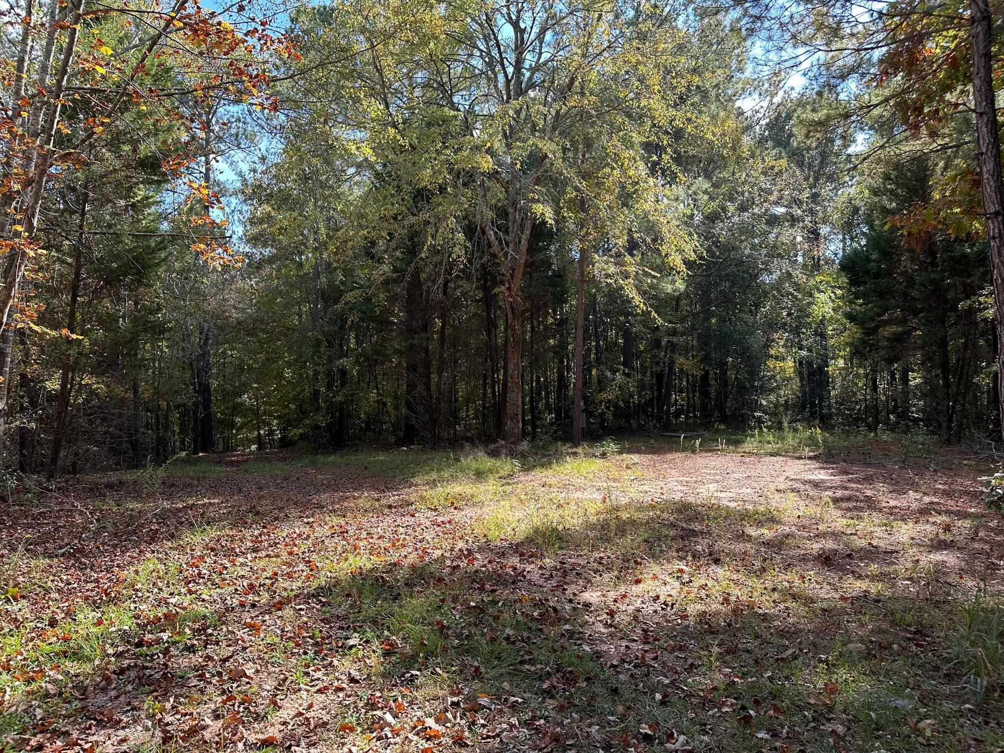 109 Edgewater Drive #109, Eatonton, Georgia image 13