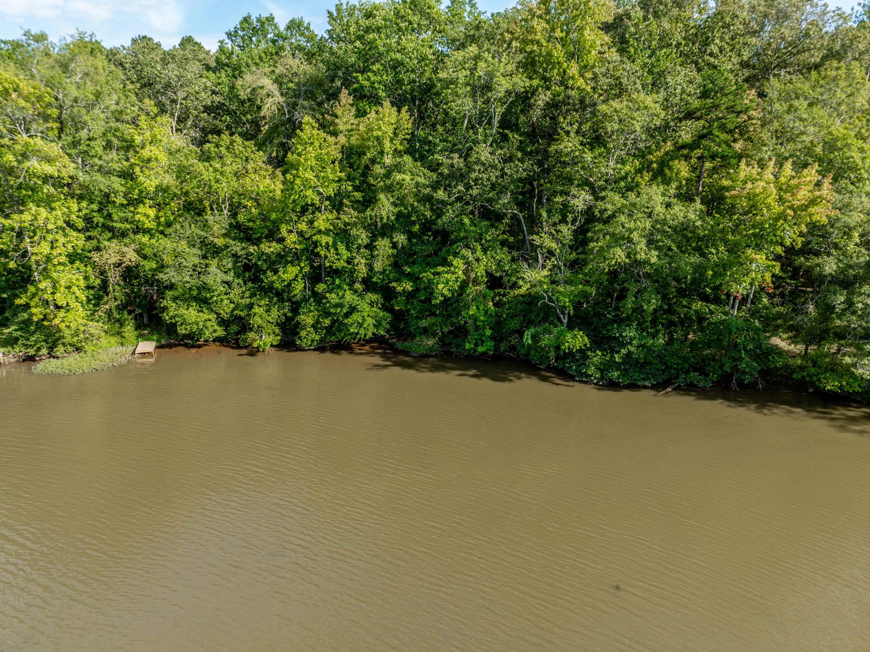 109 Edgewater Drive #109, Eatonton, Georgia image 18