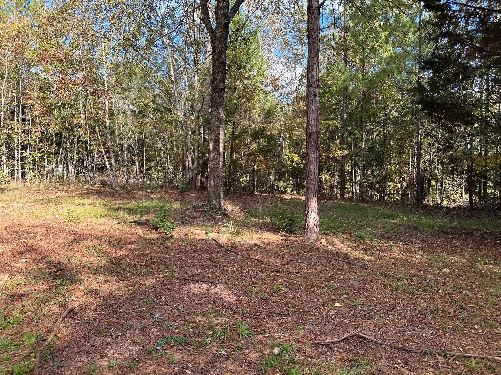 109 Edgewater Drive #109, Eatonton, Georgia image 7