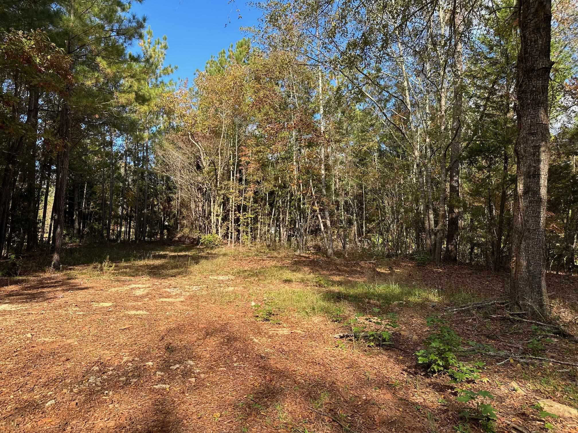 109 Edgewater Drive #109, Eatonton, Georgia image 9