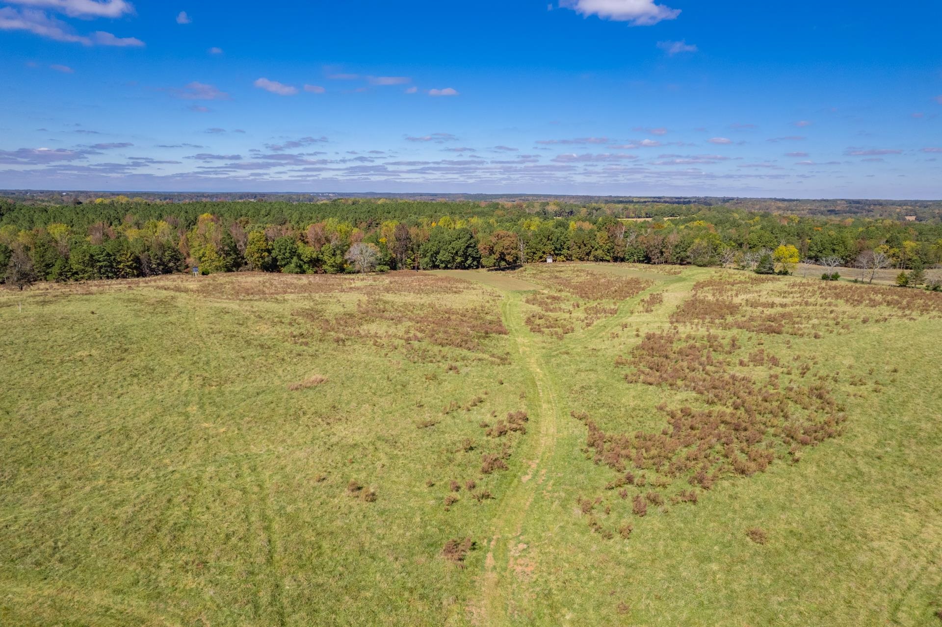 Lot 8 Wallace Road #8, Madison, Georgia image 2