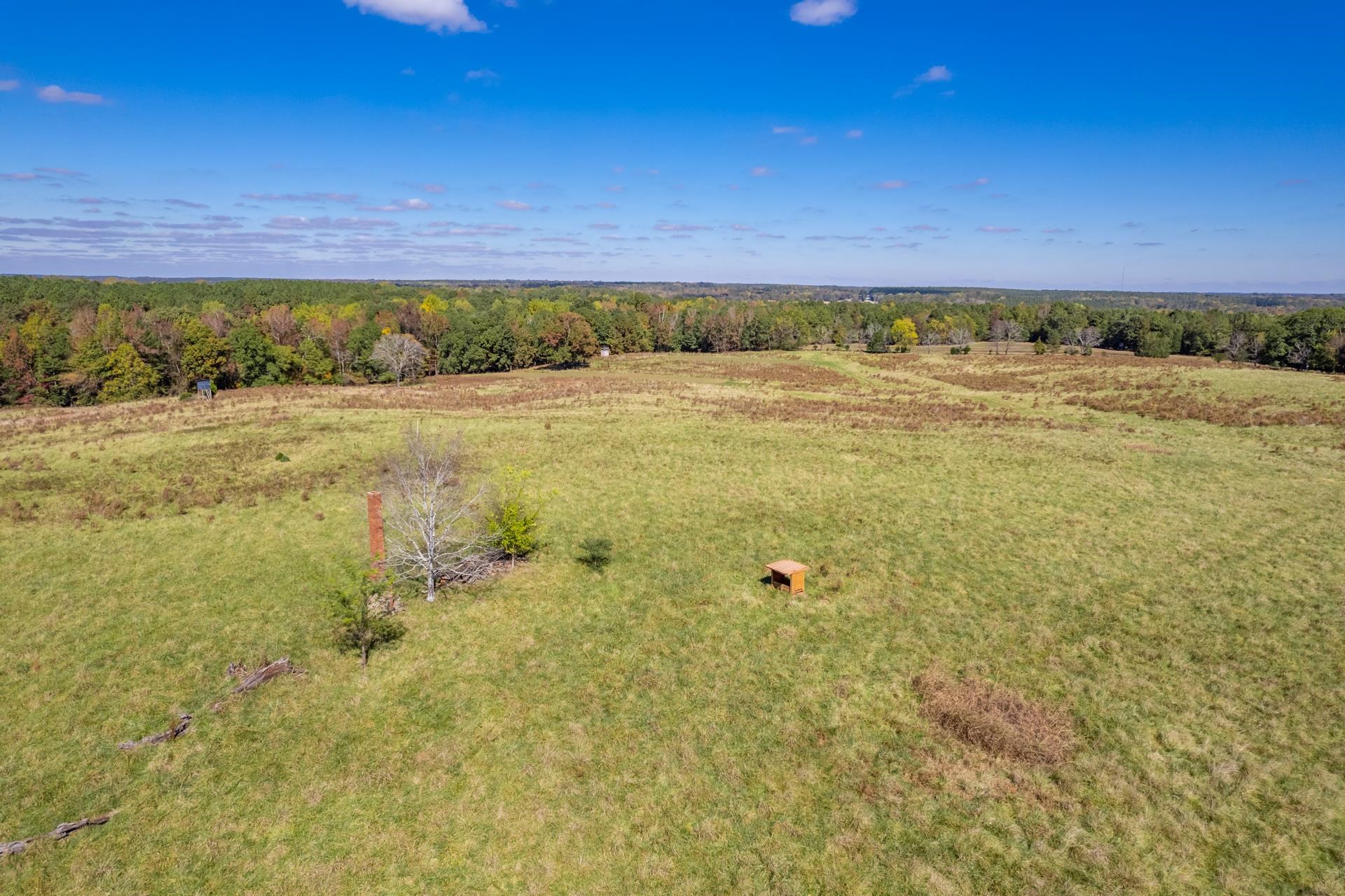 Lot 8 Wallace Road #8, Madison, Georgia image 7