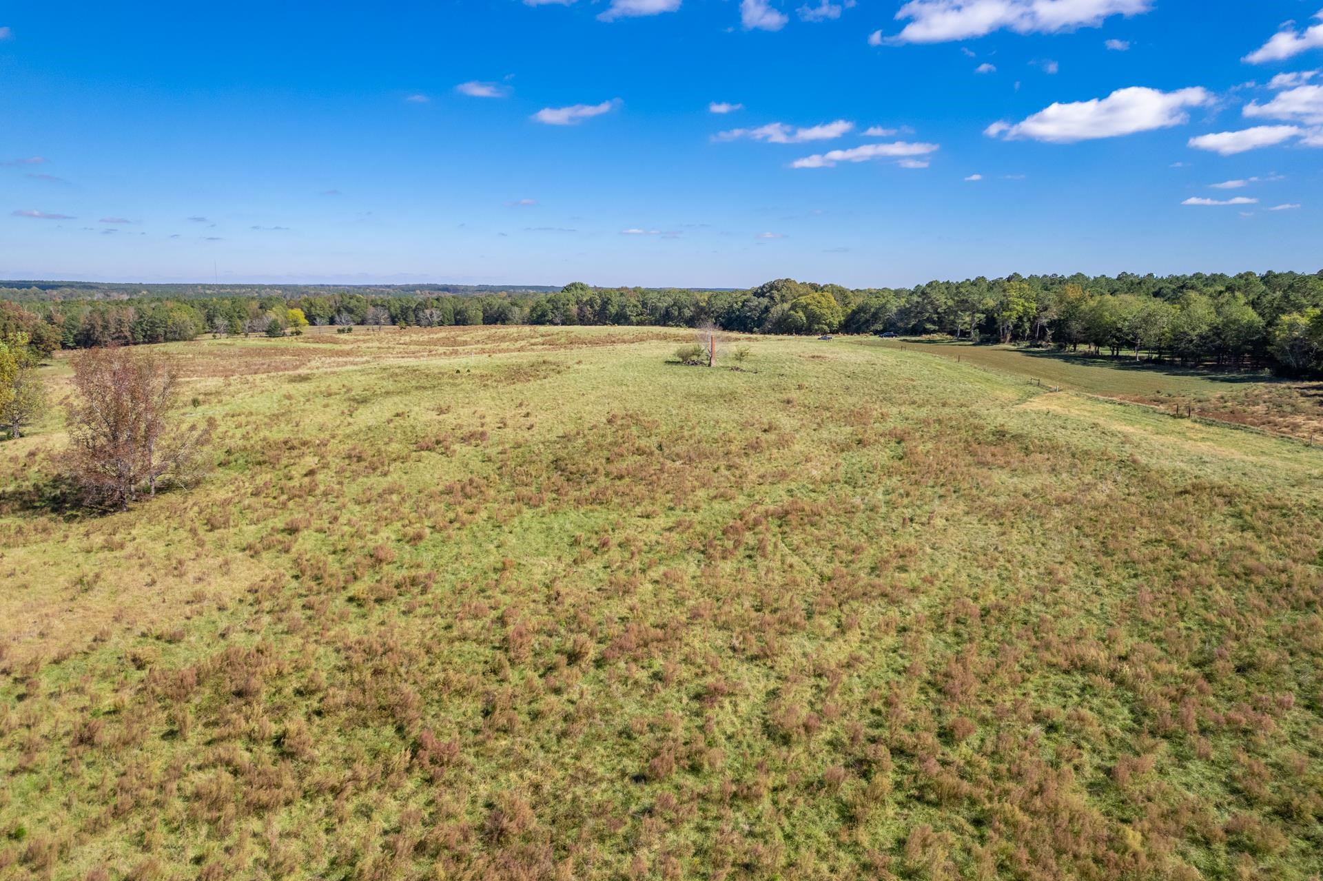 Lot 10 Wallace Road #10, Madison, Georgia image 6