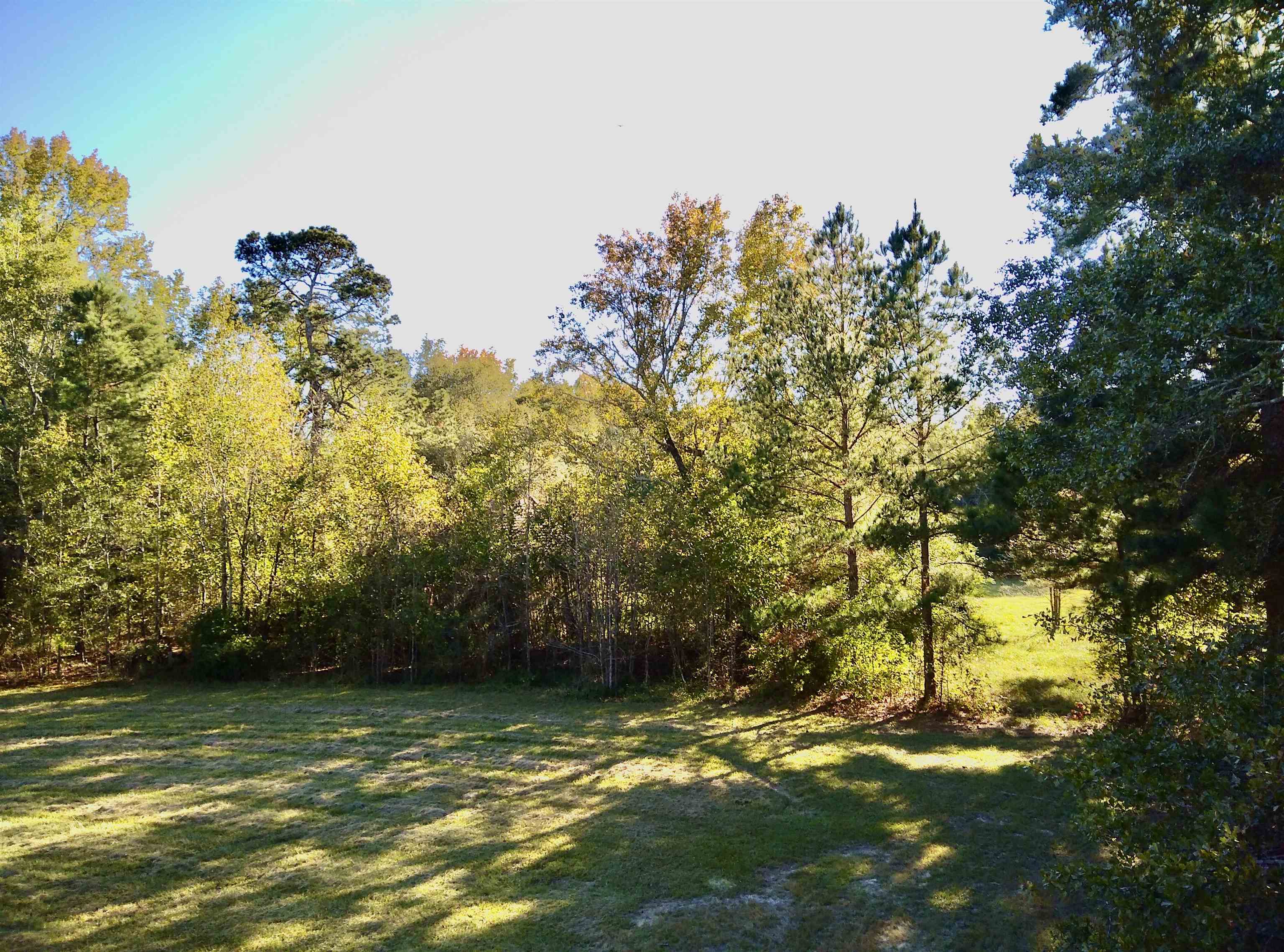 1470 Bramlett Road #1470, Greensboro, Georgia image 2