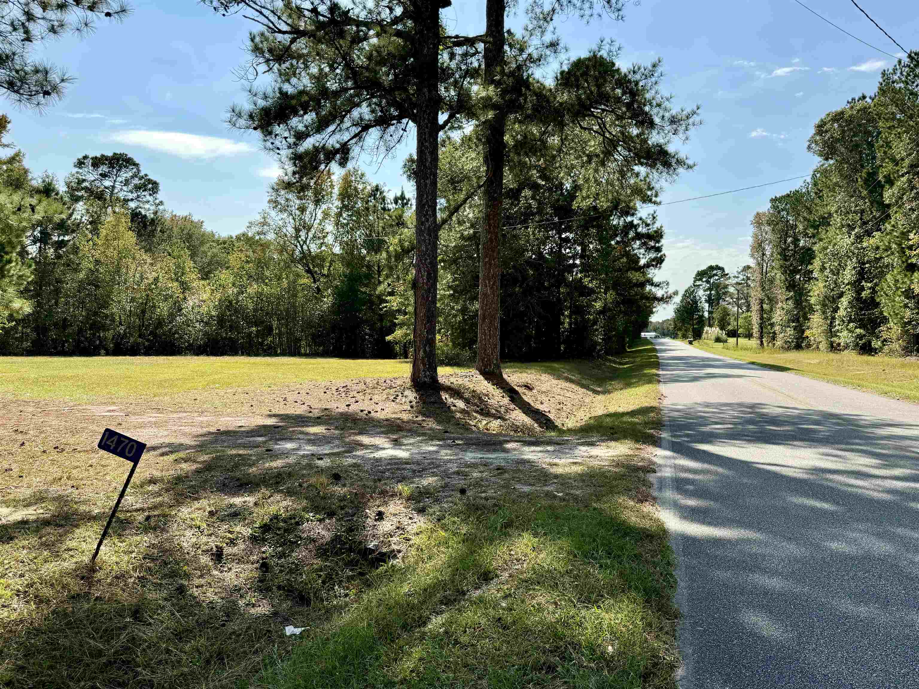 1470 Bramlett Road #1470, Greensboro, Georgia image 11