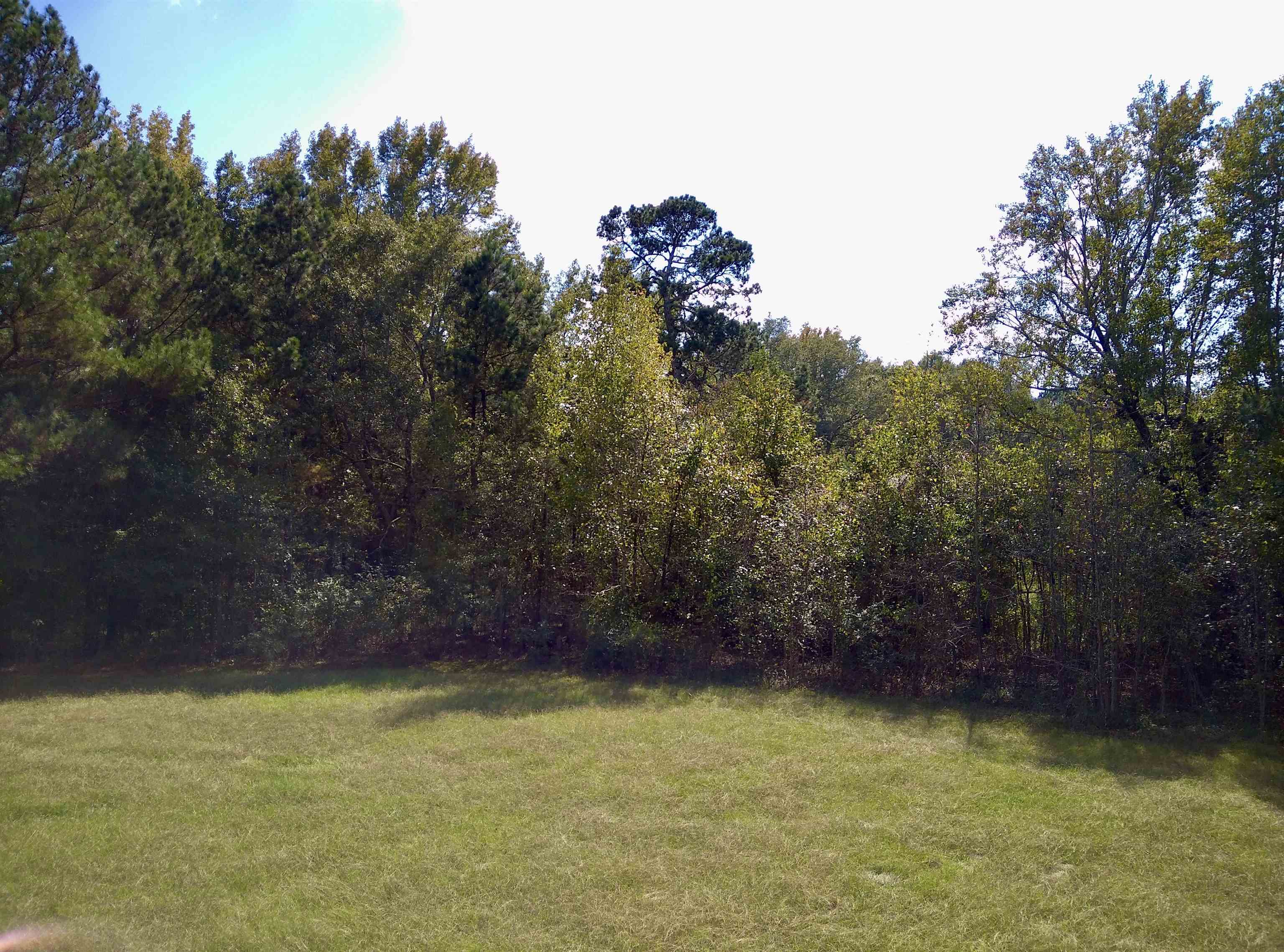 1470 Bramlett Road #1470, Greensboro, Georgia image 14