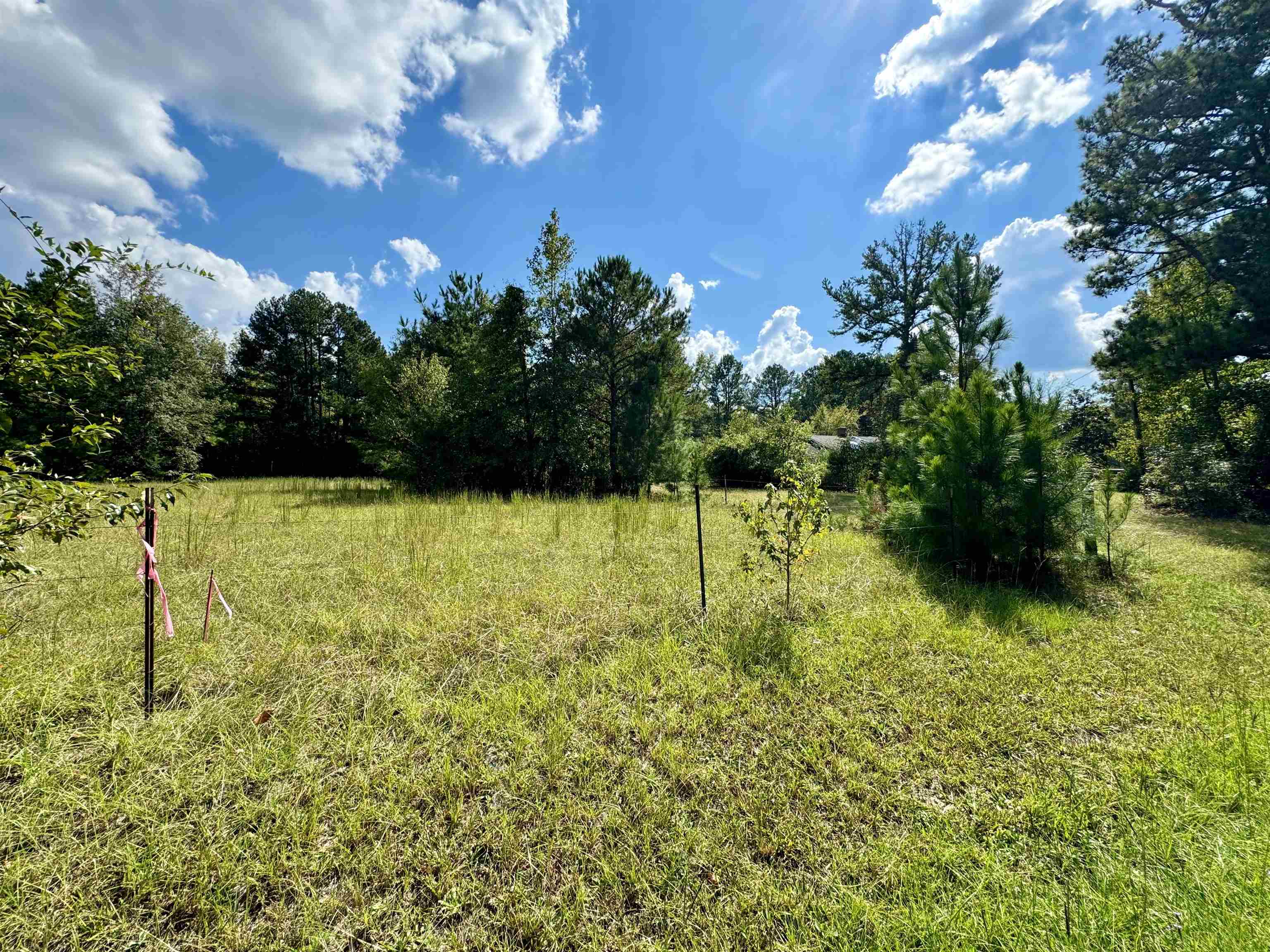 1470 Bramlett Road #1470, Greensboro, Georgia image 20