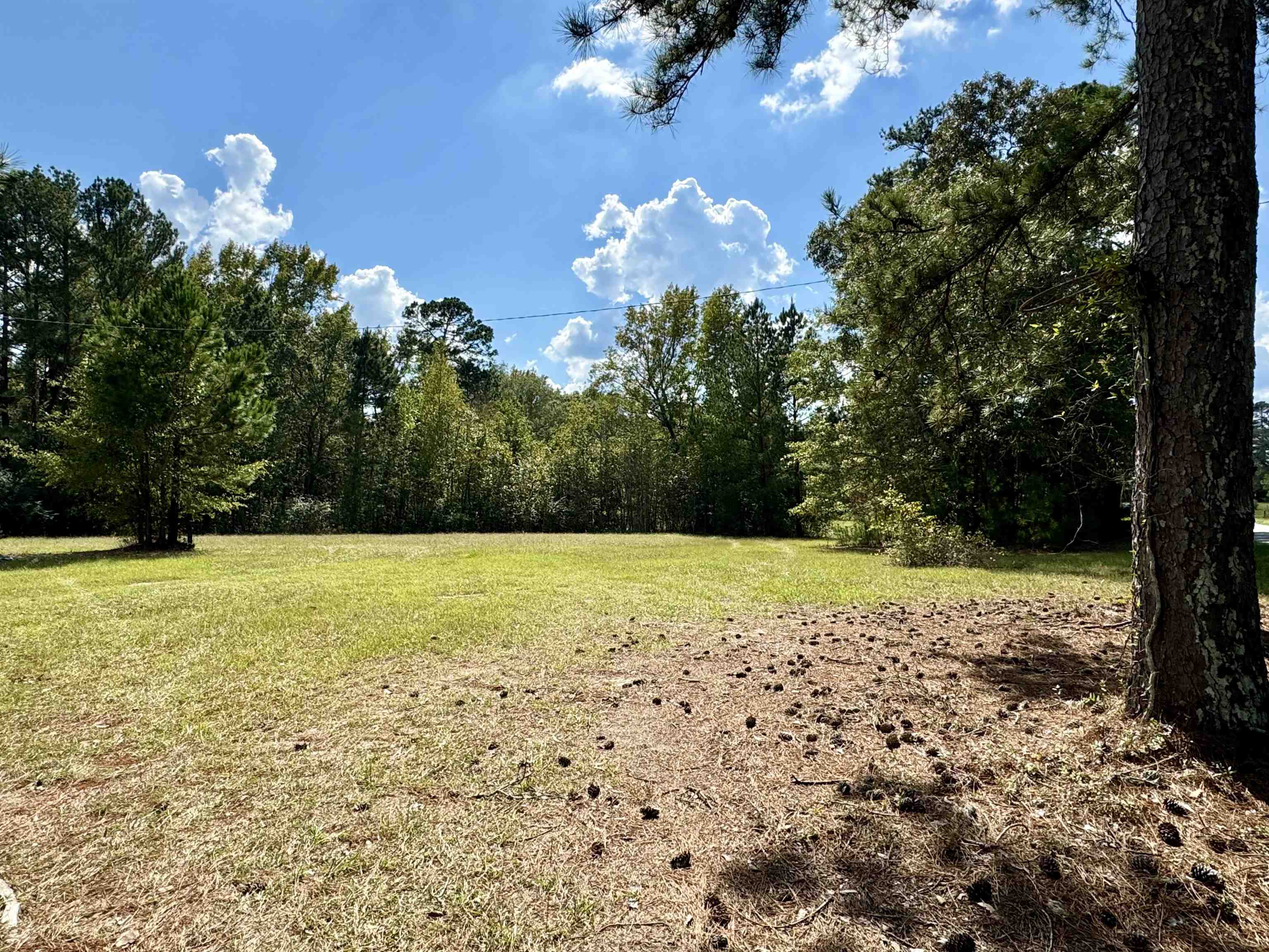 1470 Bramlett Road #1470, Greensboro, Georgia image 21