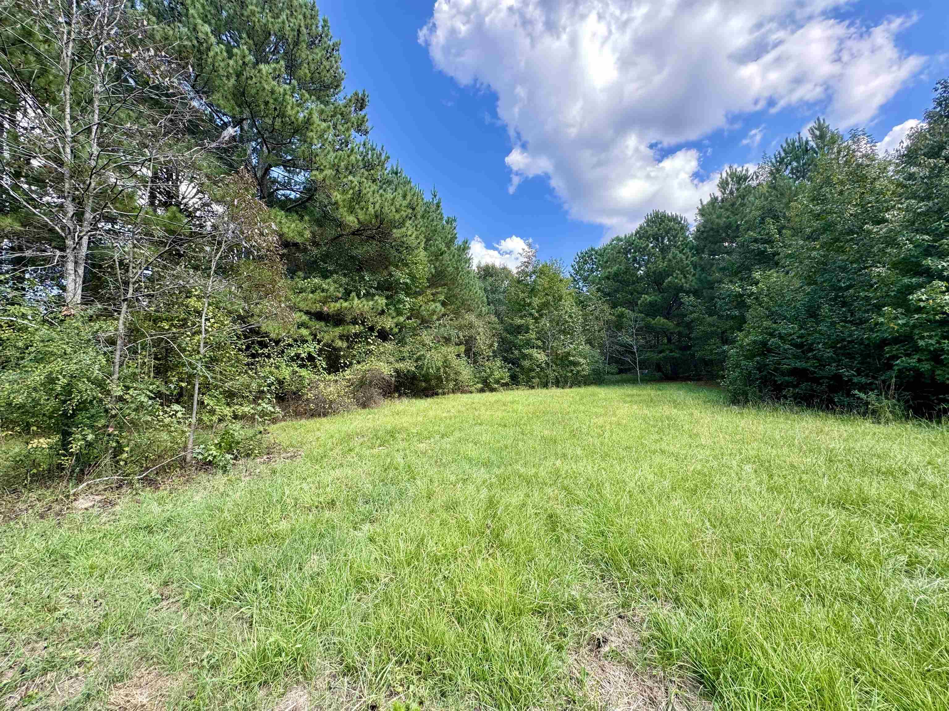 1470 Bramlett Road #1470, Greensboro, Georgia image 22