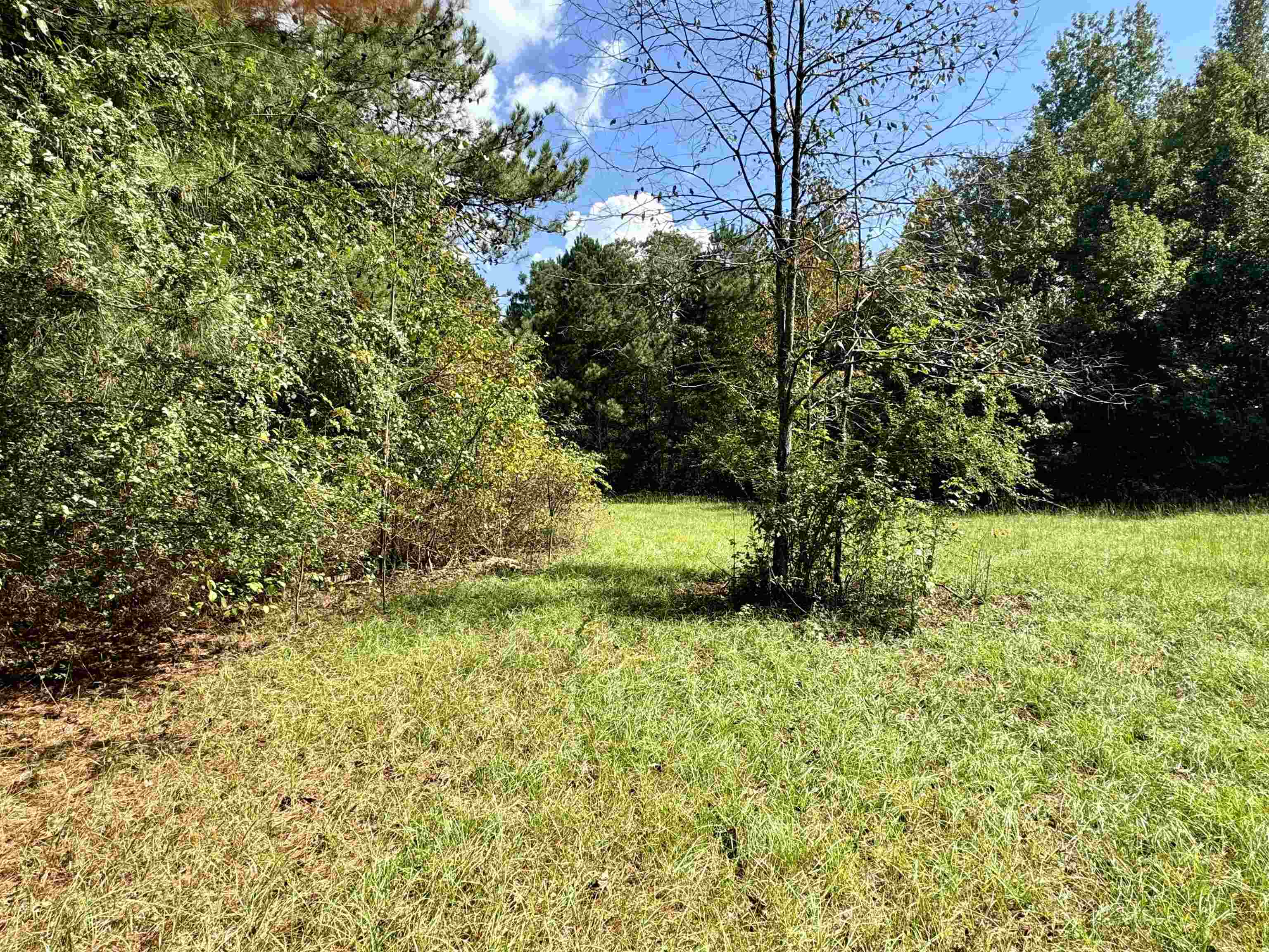 1470 Bramlett Road #1470, Greensboro, Georgia image 23
