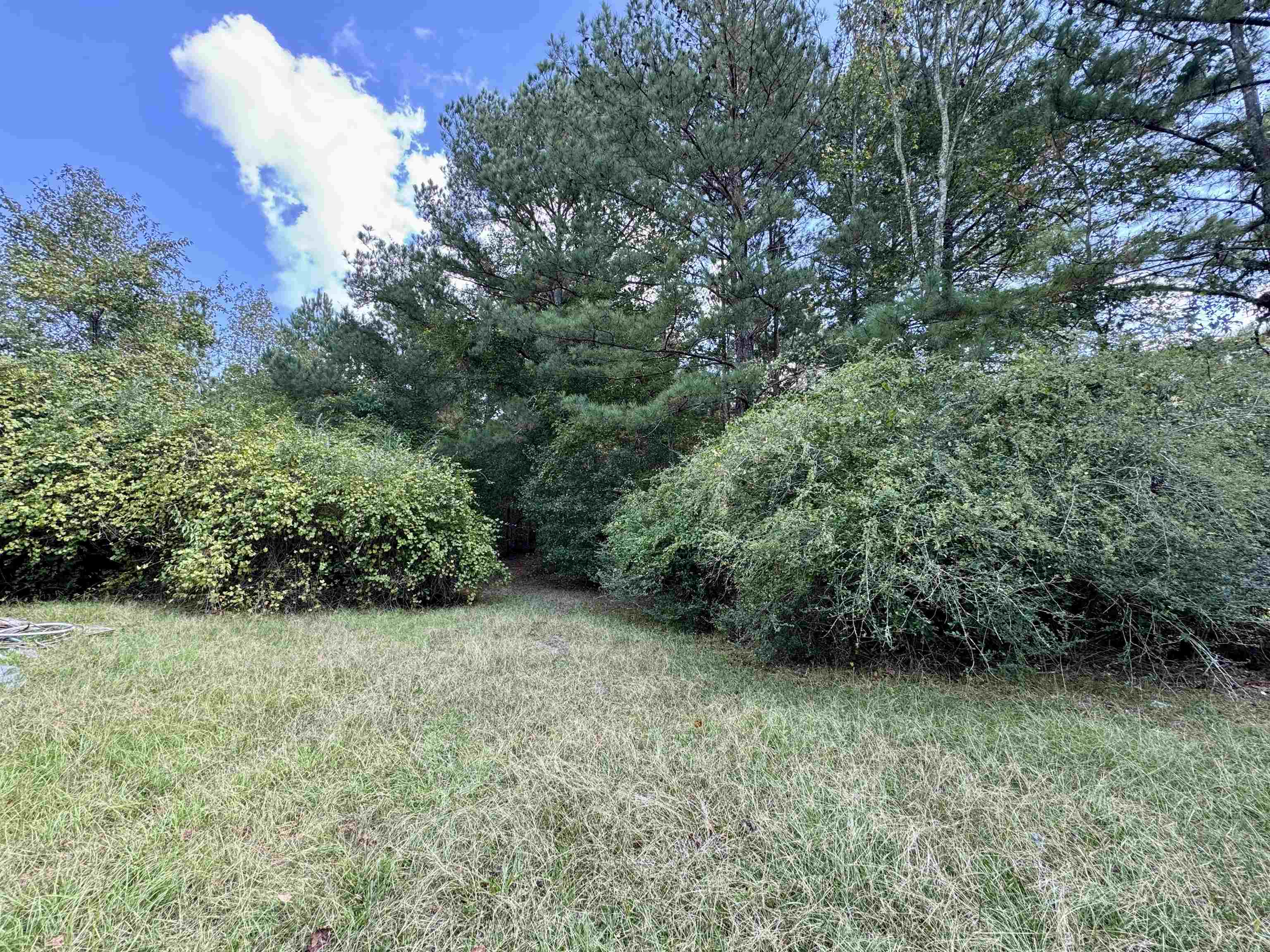 1470 Bramlett Road #1470, Greensboro, Georgia image 29