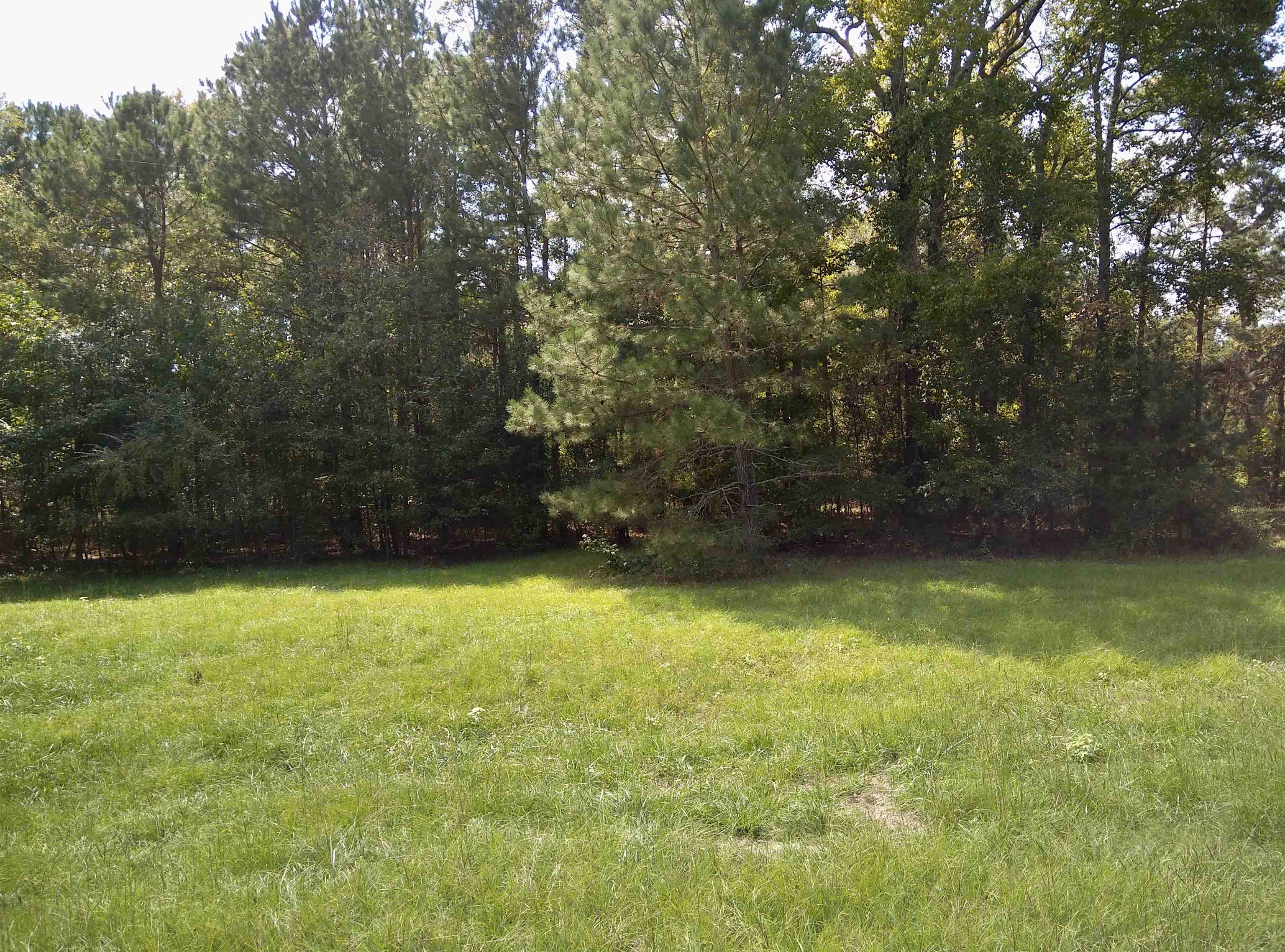 1470 Bramlett Road #1470, Greensboro, Georgia image 30