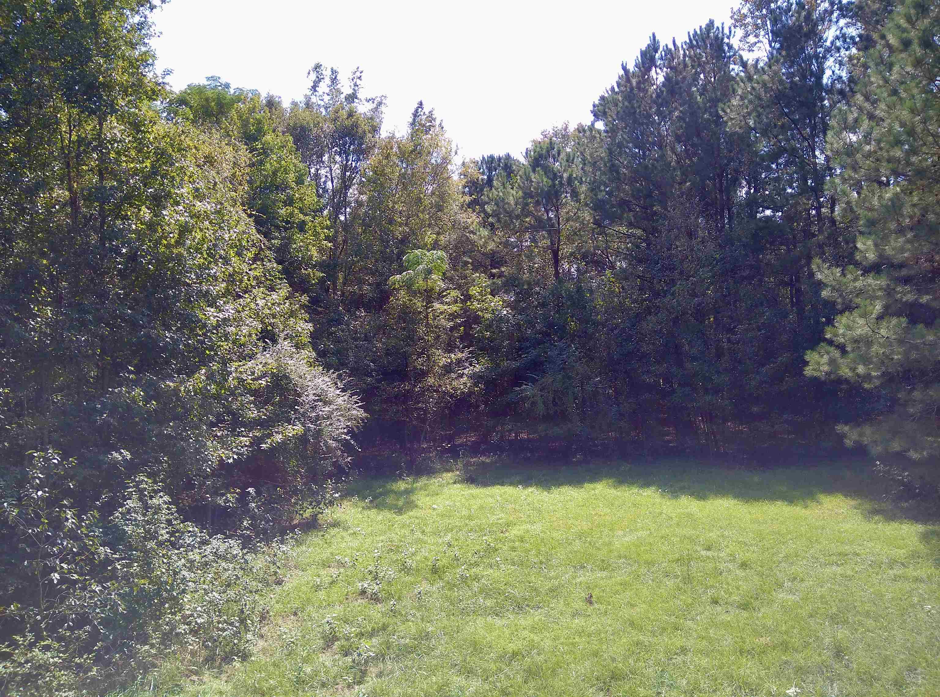 1470 Bramlett Road #1470, Greensboro, Georgia image 31