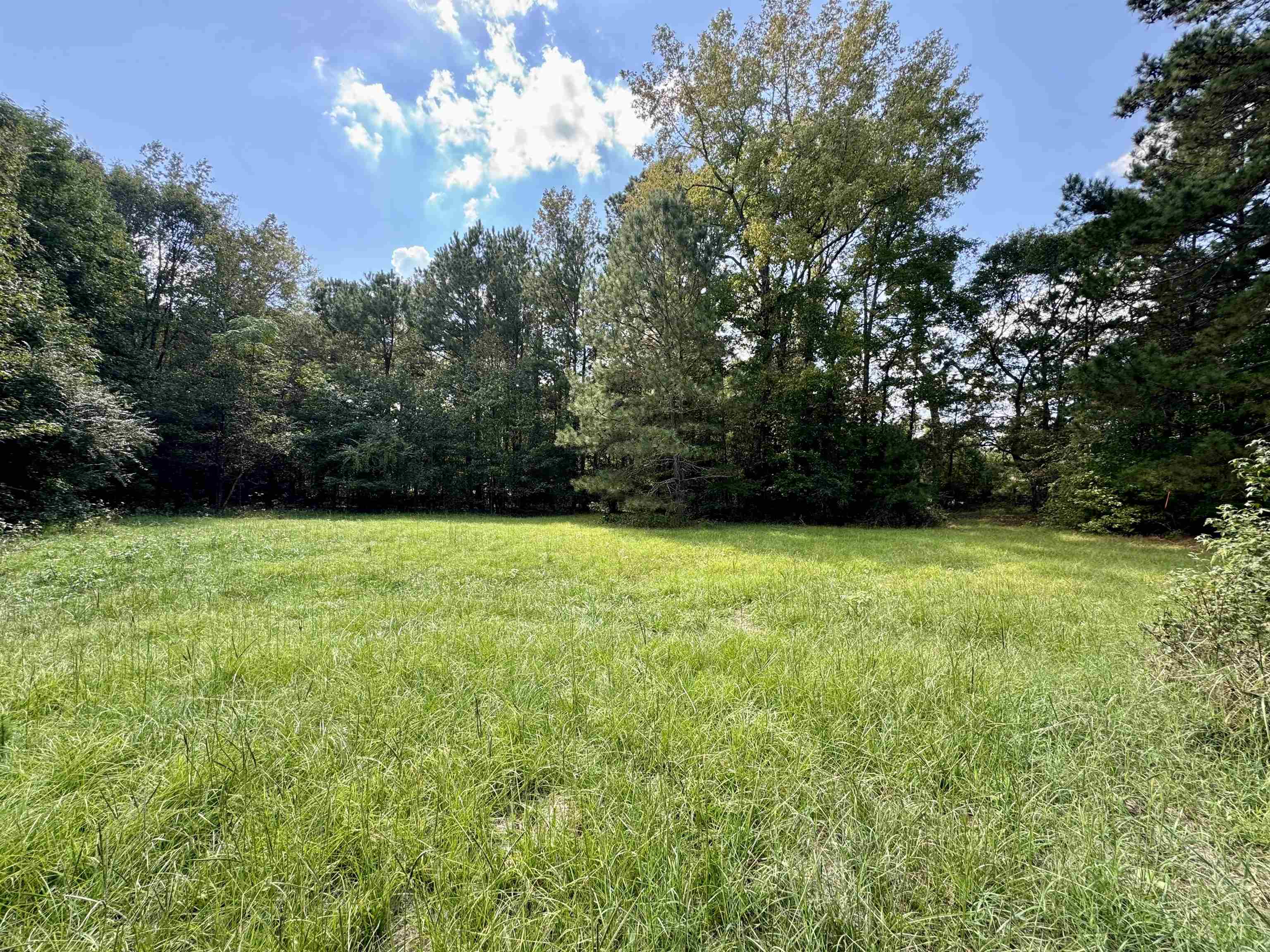 1470 Bramlett Road #1470, Greensboro, Georgia image 32