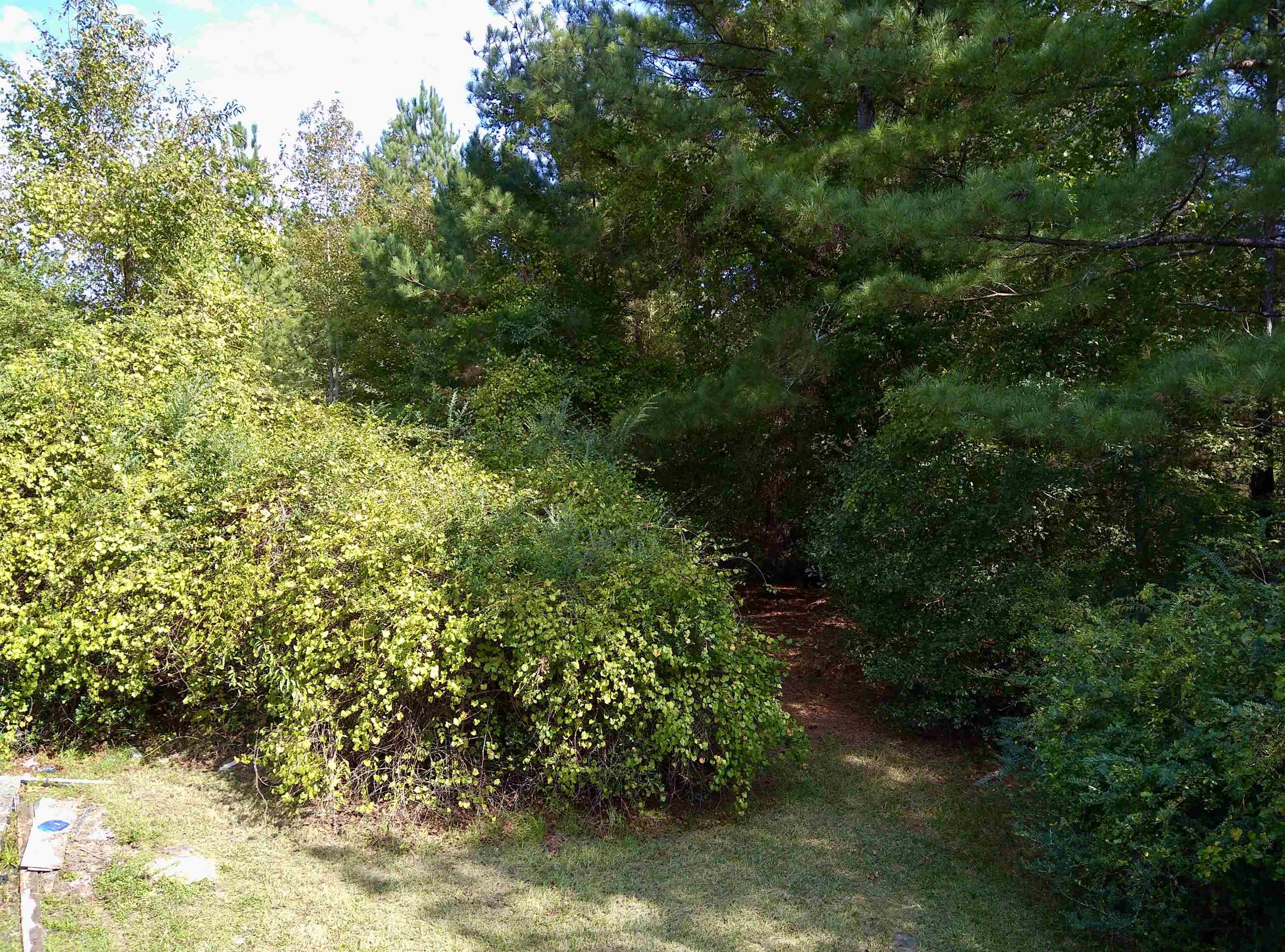 1470 Bramlett Road #1470, Greensboro, Georgia image 7