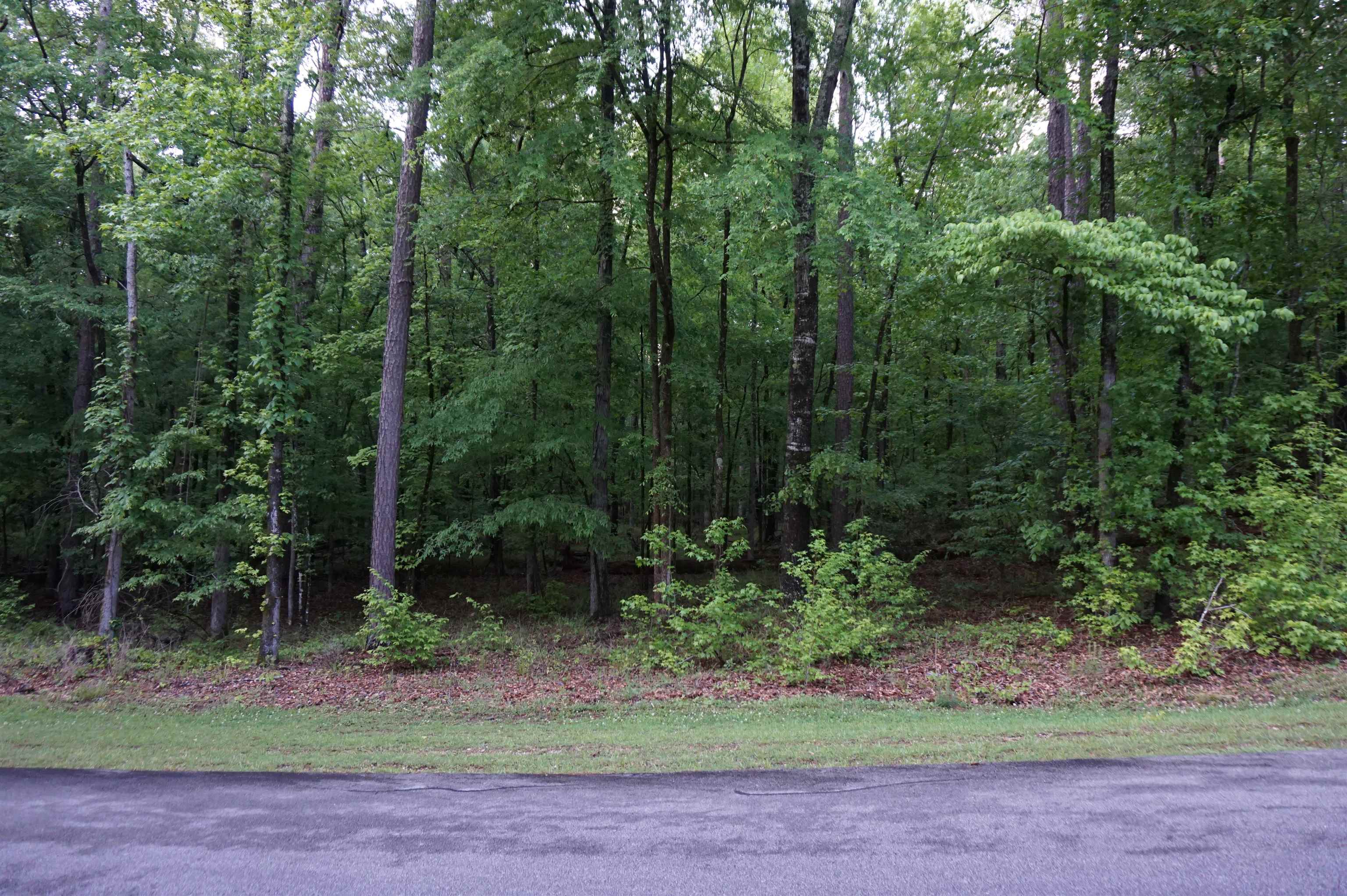 1050 Anchor Bay Circle #1050, Greensboro, Georgia image 3
