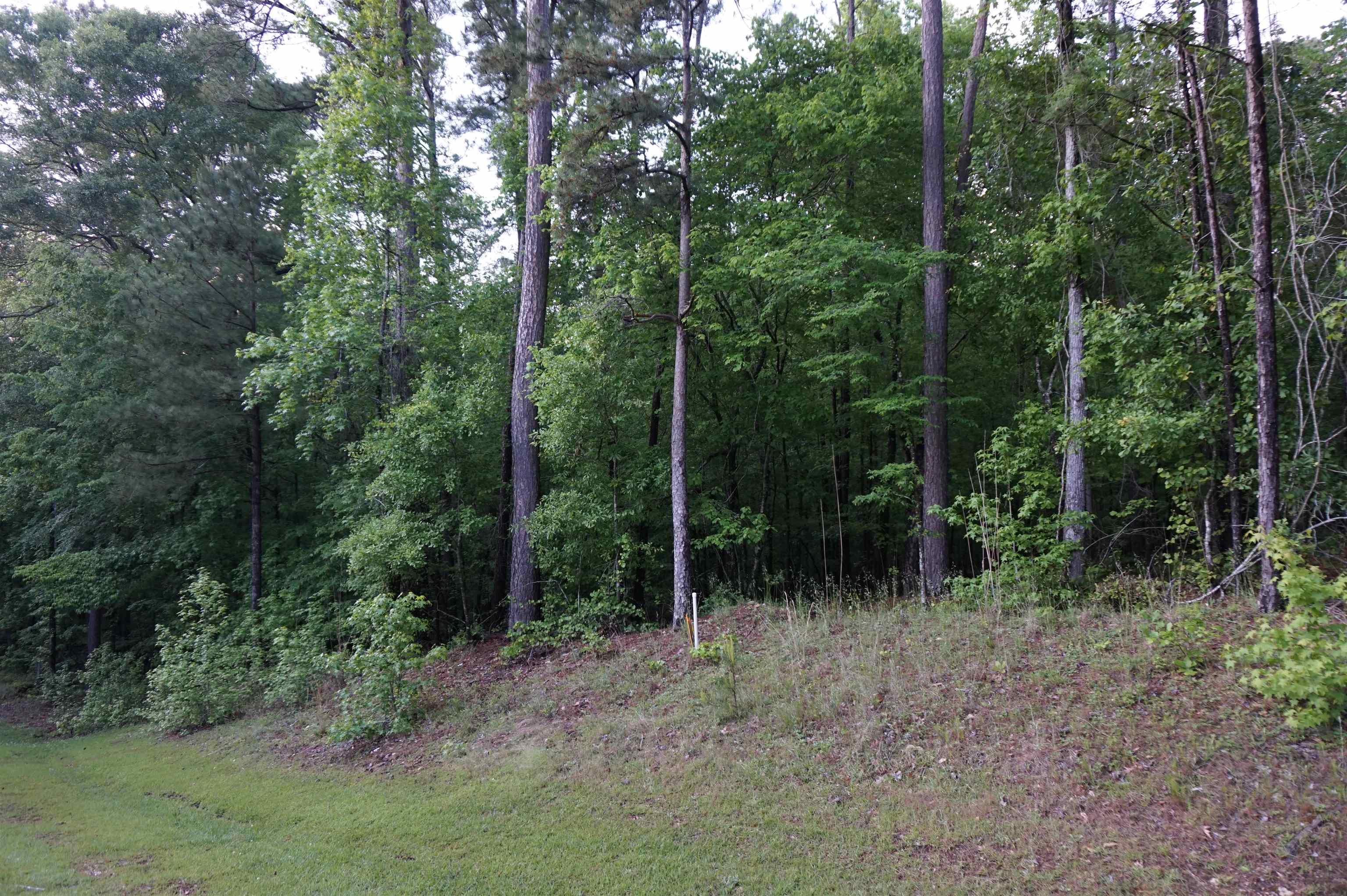 1050 Anchor Bay Circle #1050, Greensboro, Georgia image 6