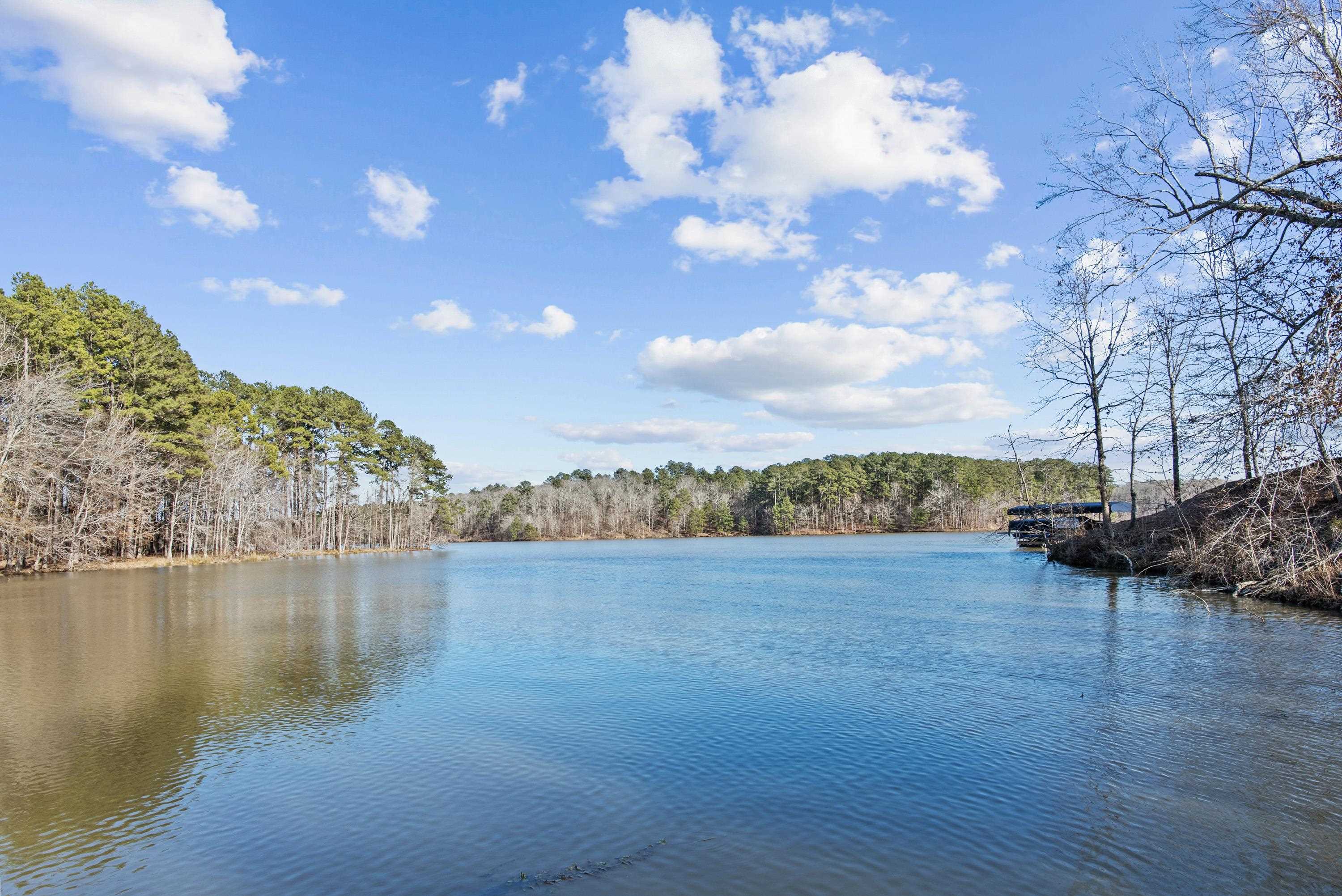 1030 RIDGE GROVE COURT image 3