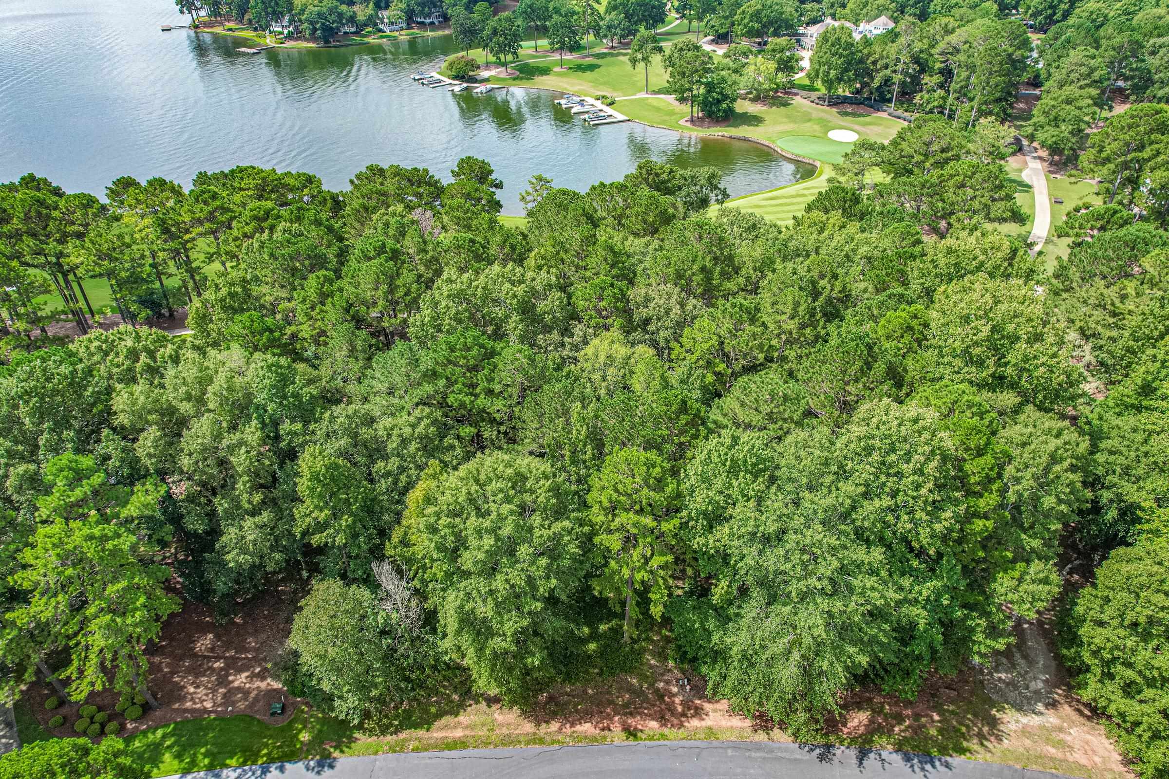 136 Camak Place image 2