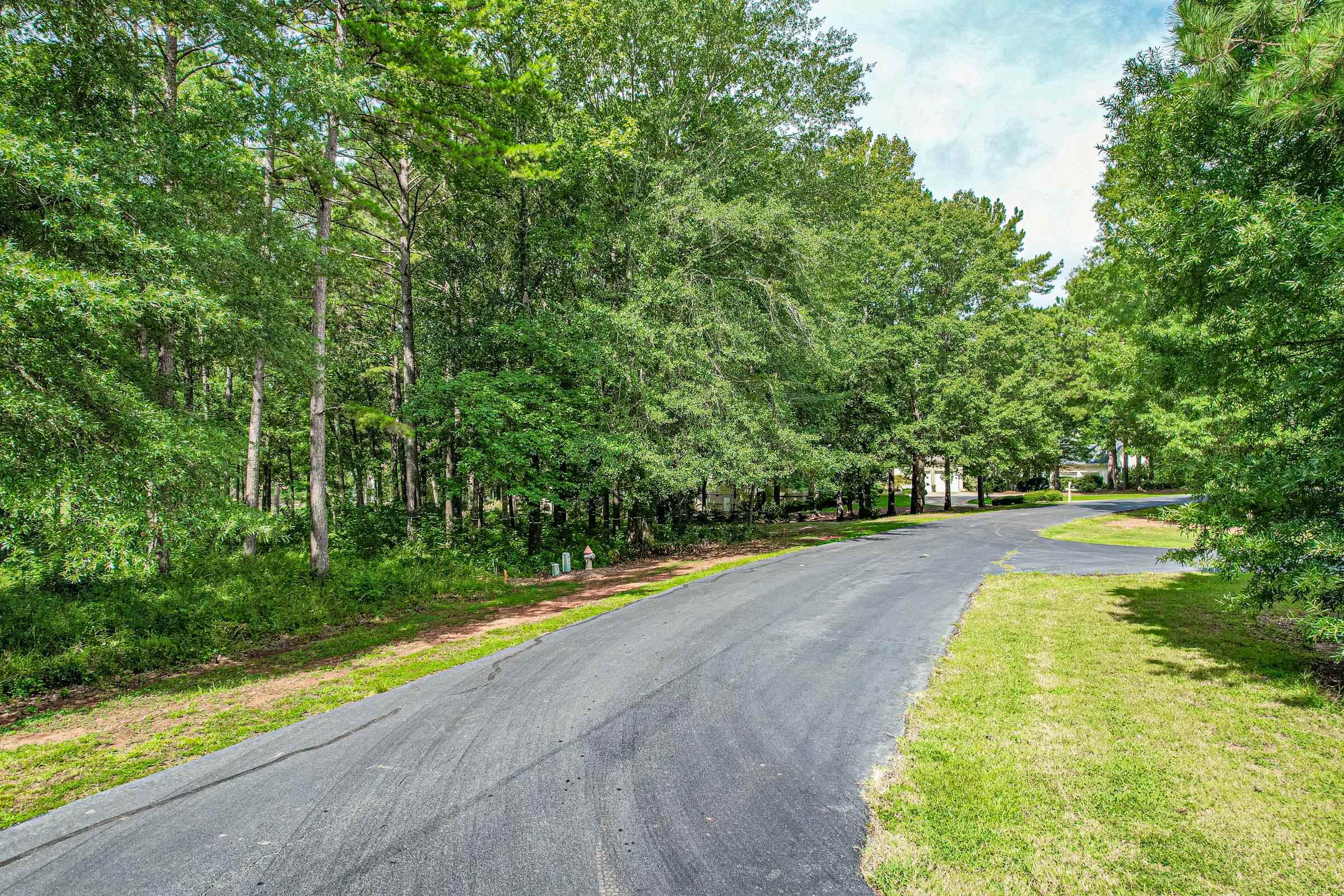136 Camak Place image 3