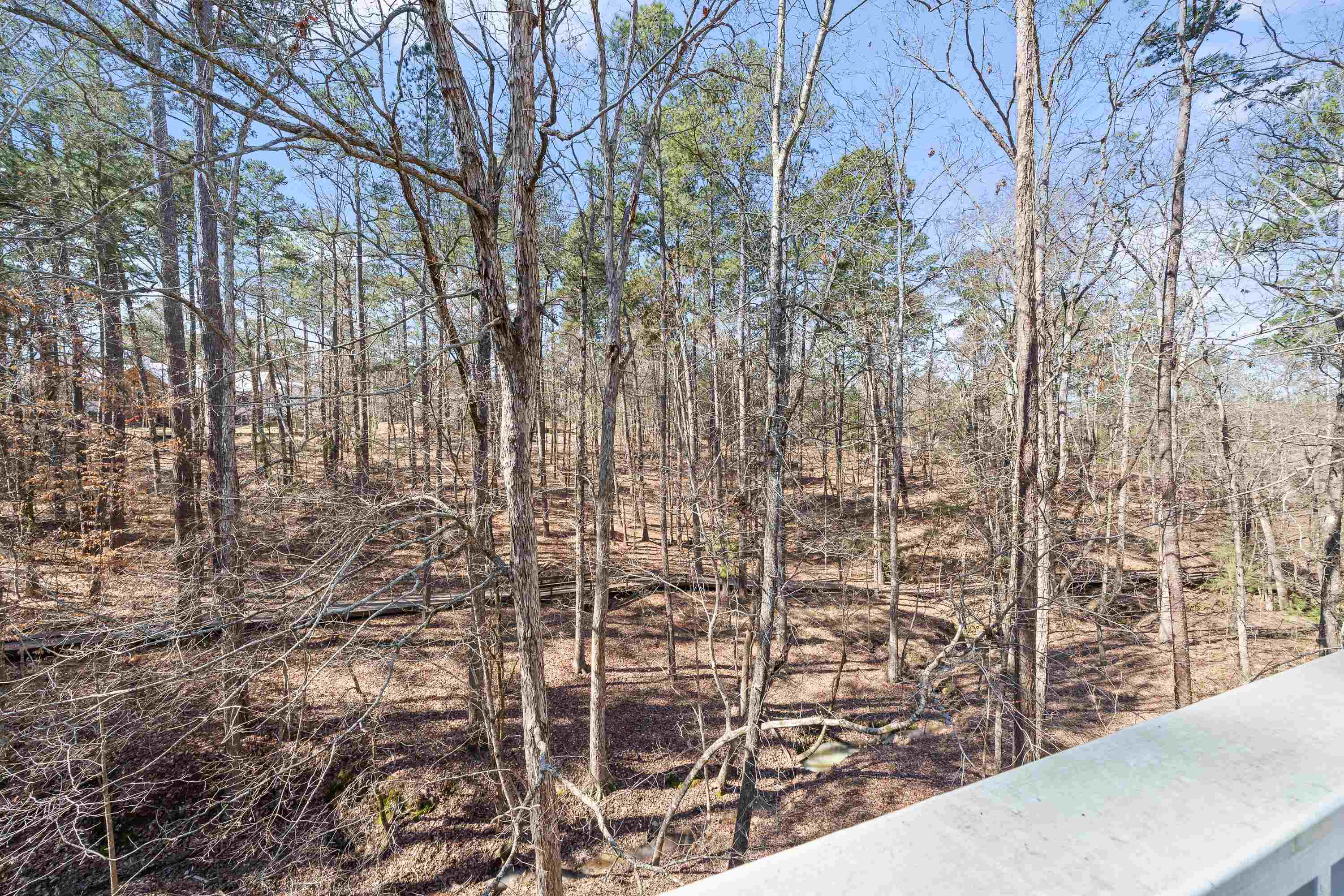 1020 TROUBLESOME CREEK LANE image 66
