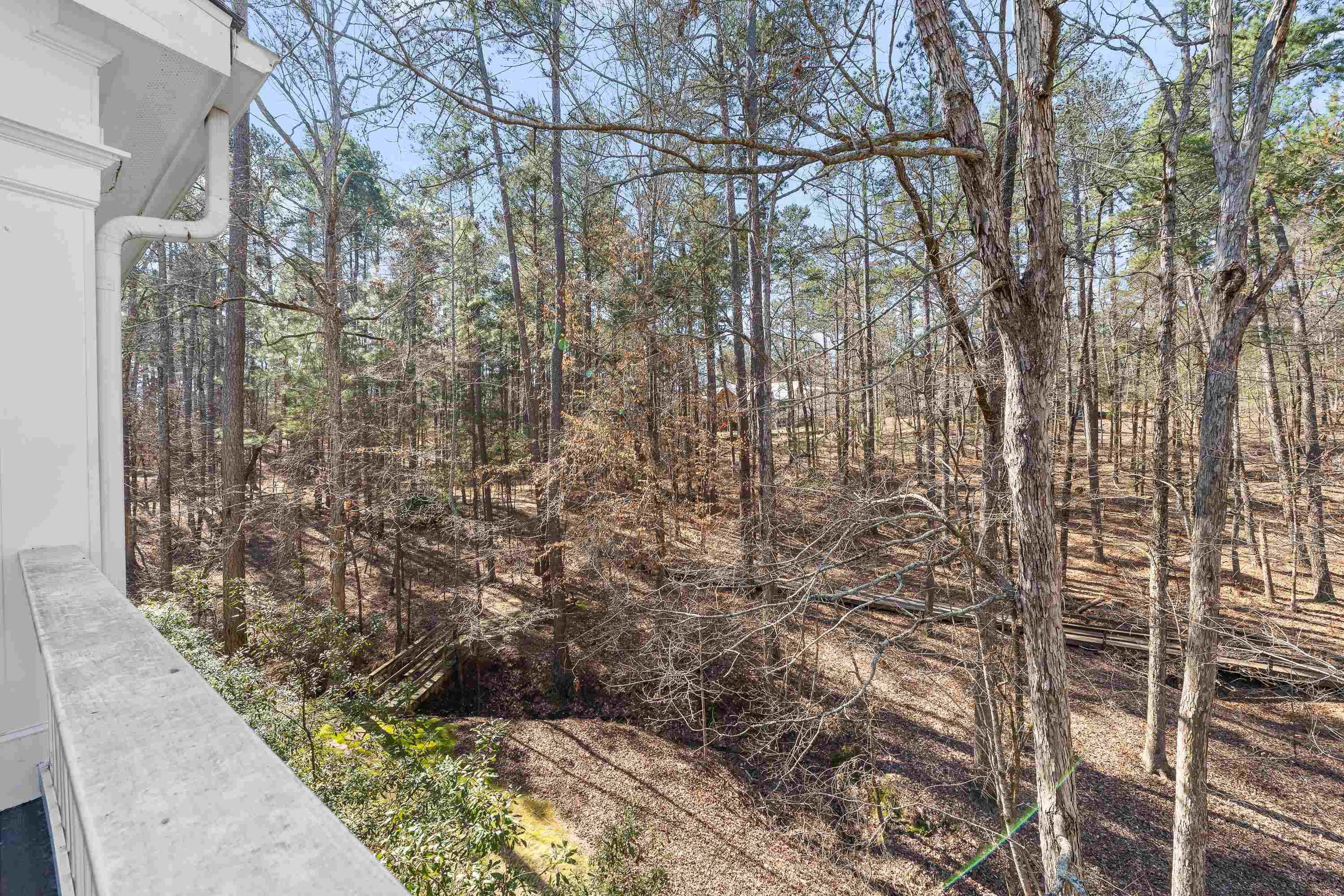 1020 TROUBLESOME CREEK LANE image 65