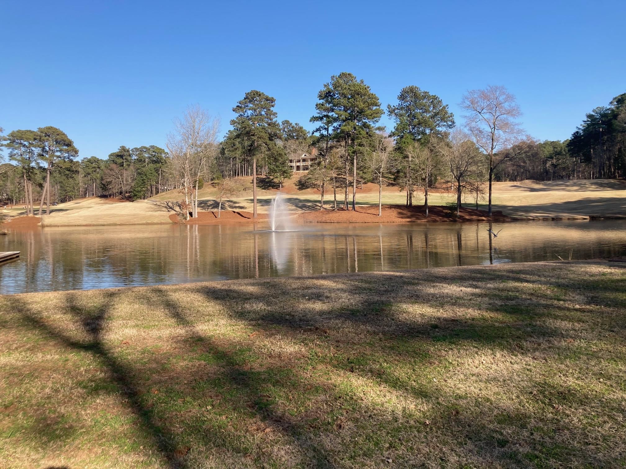 1060 Dejarnet Place image 11