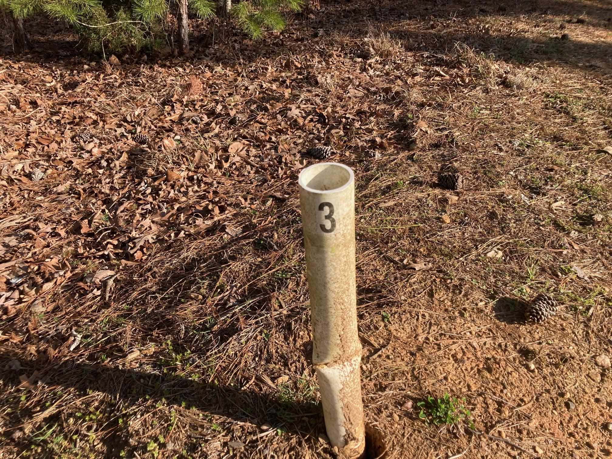 1060 Dejarnet Place image 4