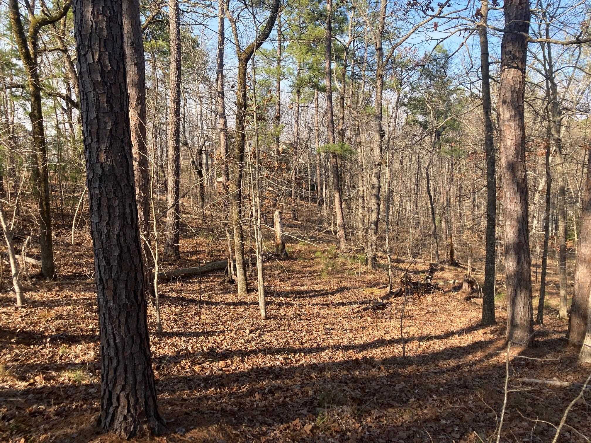 1060 Dejarnet Place image 5