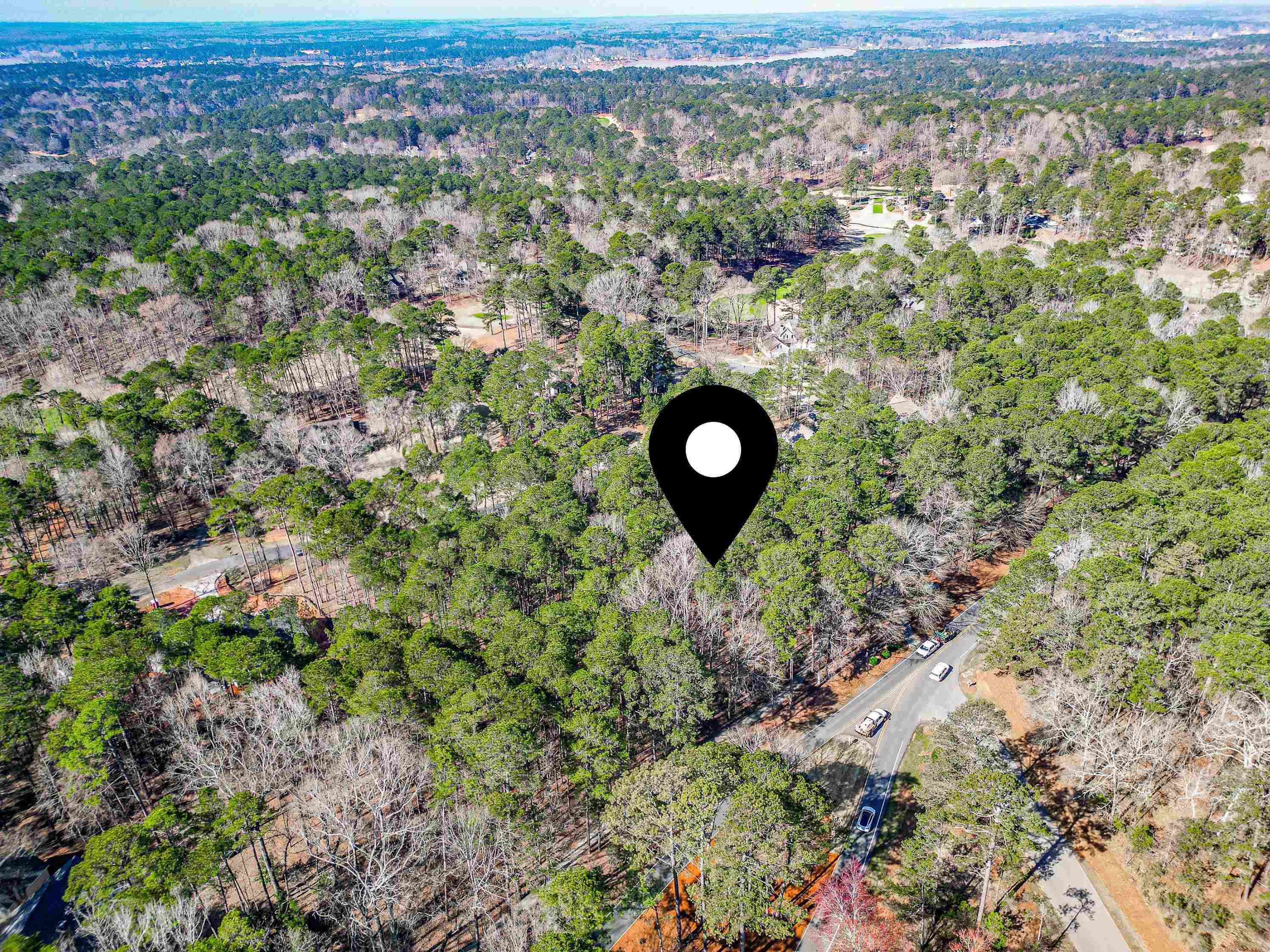 1040 Centennial Post image 4