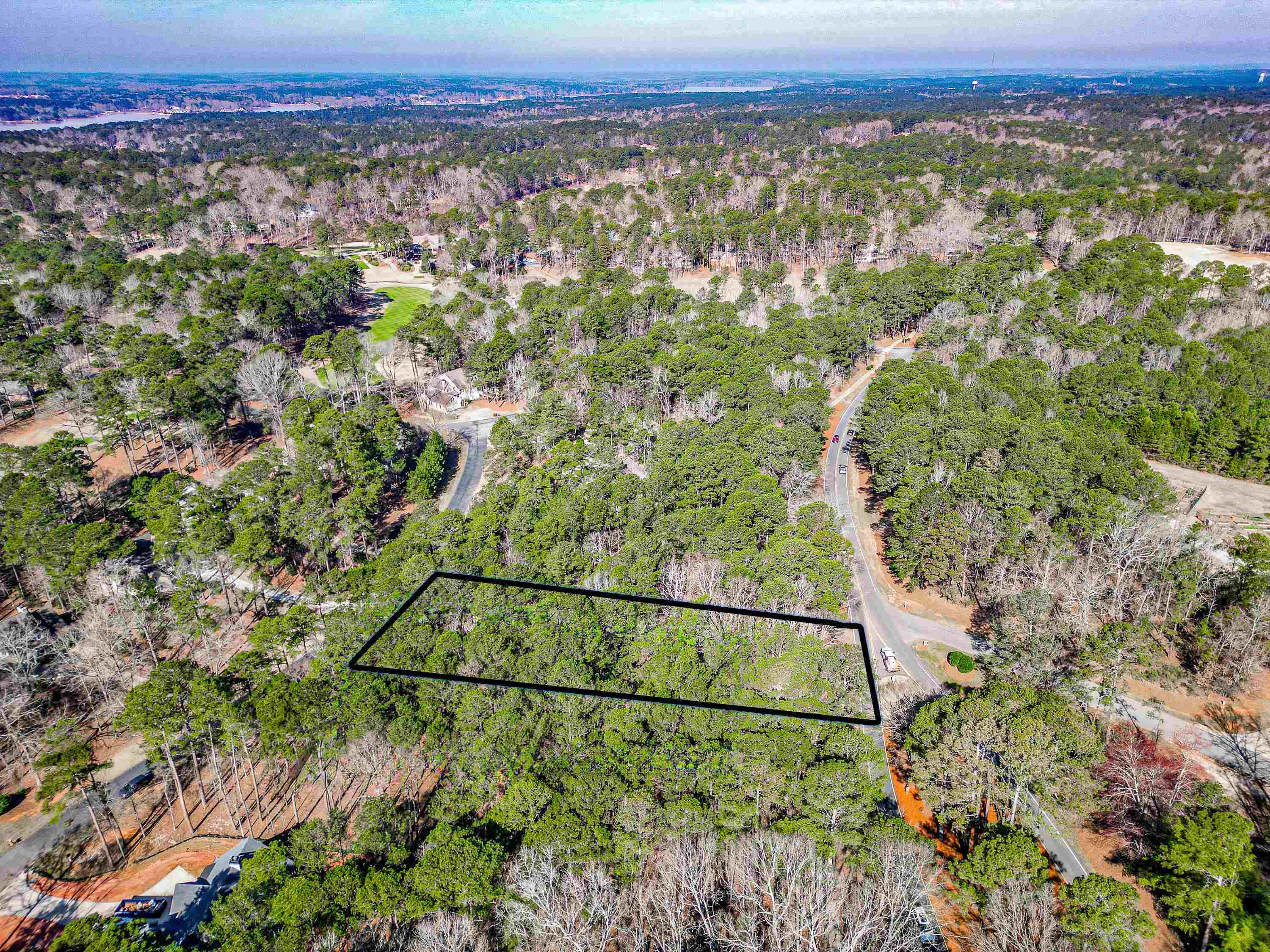 1040 Centennial Post image 5