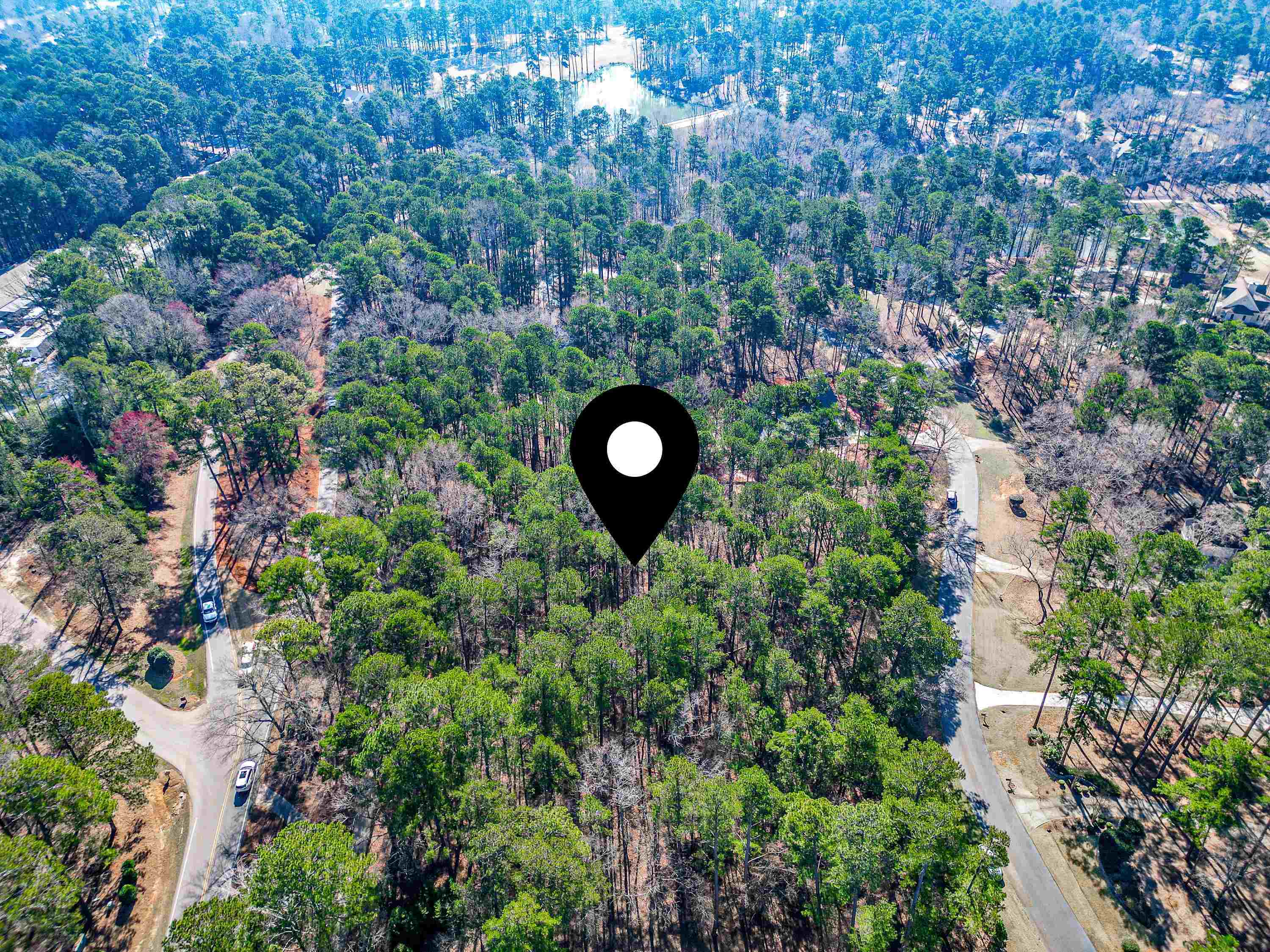 1040 Centennial Post image 8